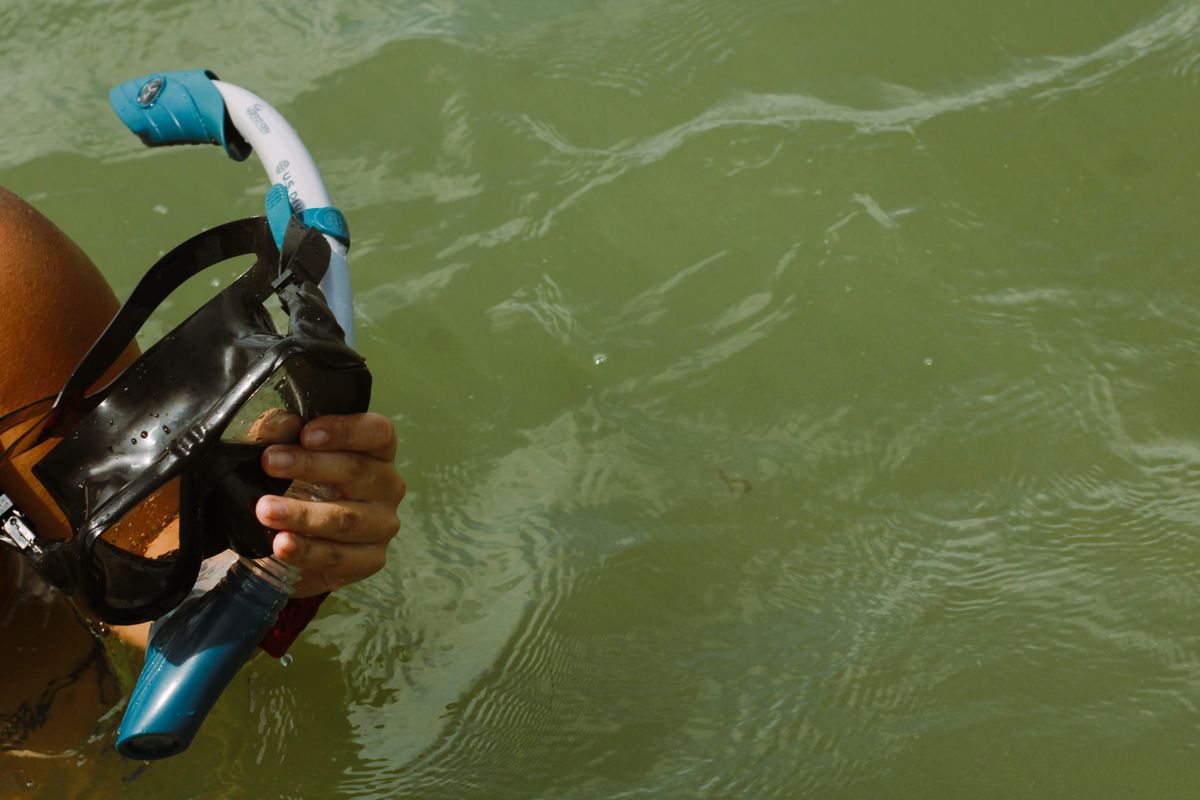 Person holding a snorkel mask at the water surface