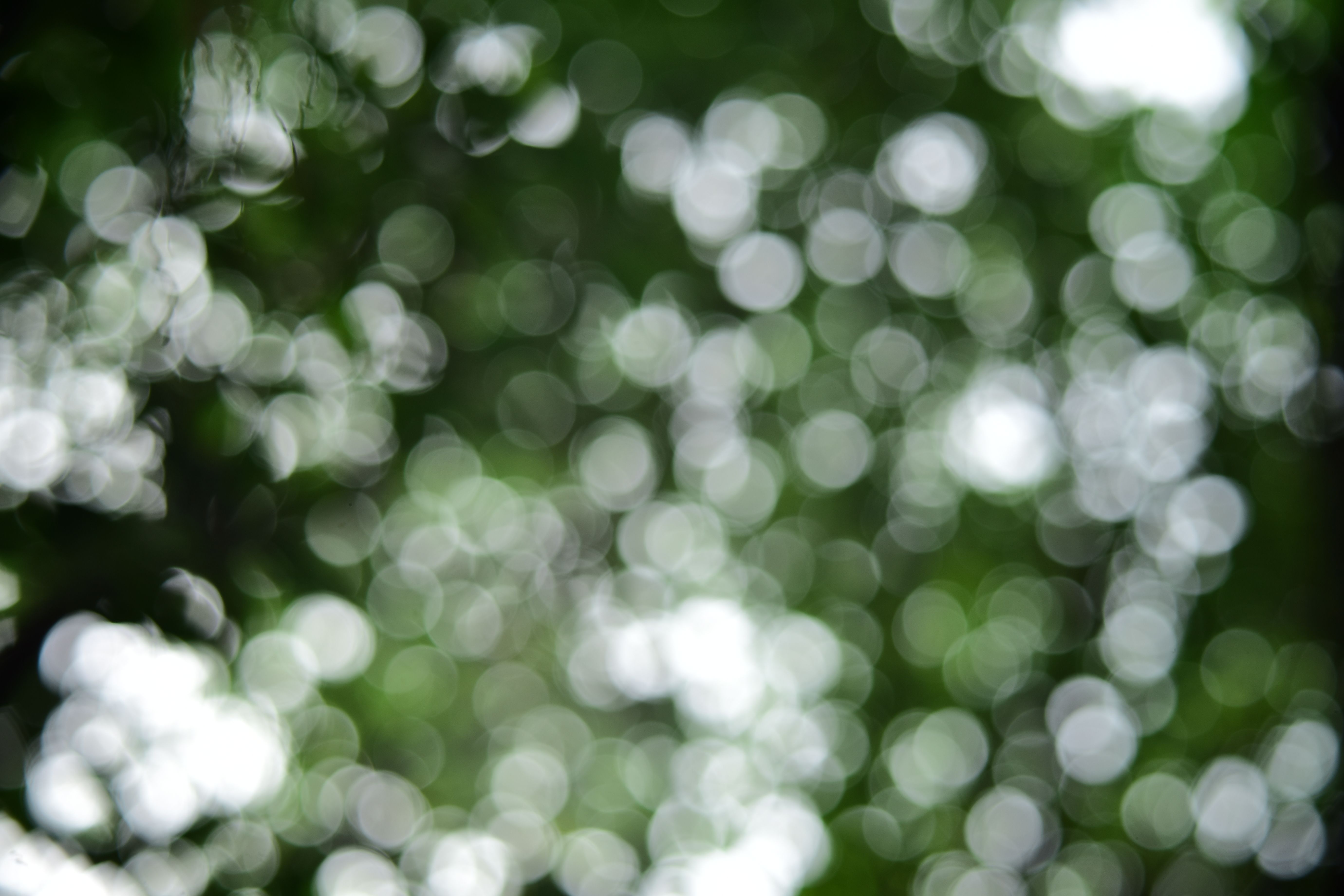 Ruhiger Hintergrund mit sanftem Naturlicht
