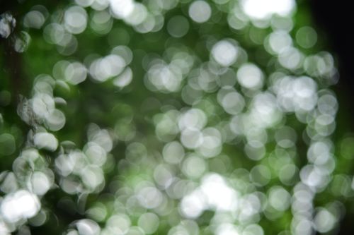 Free Abstract green nature background with bokeh, creating a dreamy, soothing effect. Stock Photo