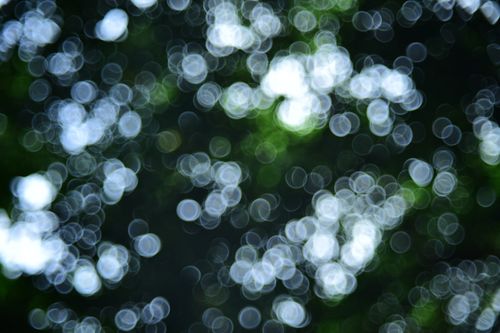 Free Stunning abstract bokeh effect with circular light patterns in natural greenery. Stock Photo