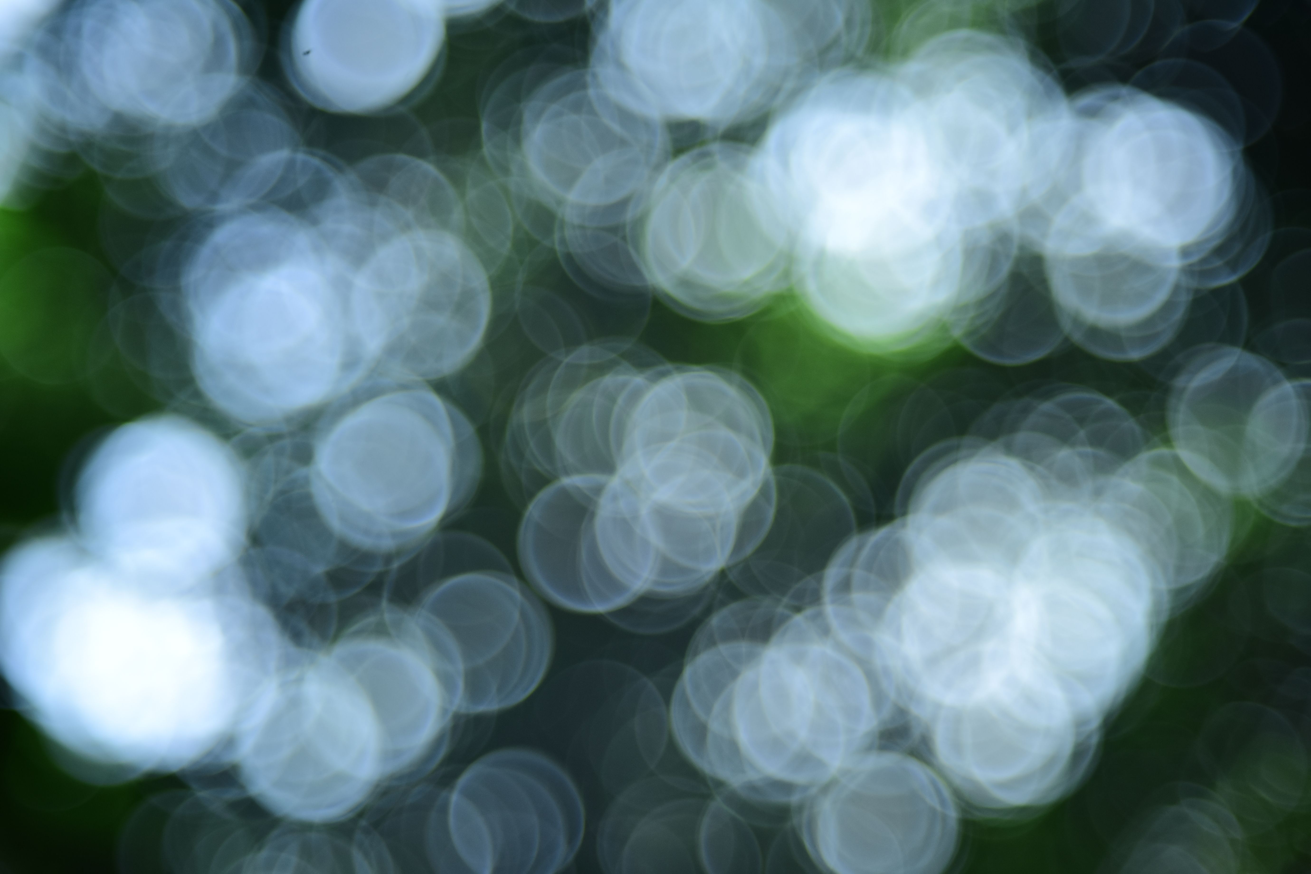 Sumeita valopalloja vehreässä luonnossa, luoden rauhoittavan abstraktin bokeh-efektin.