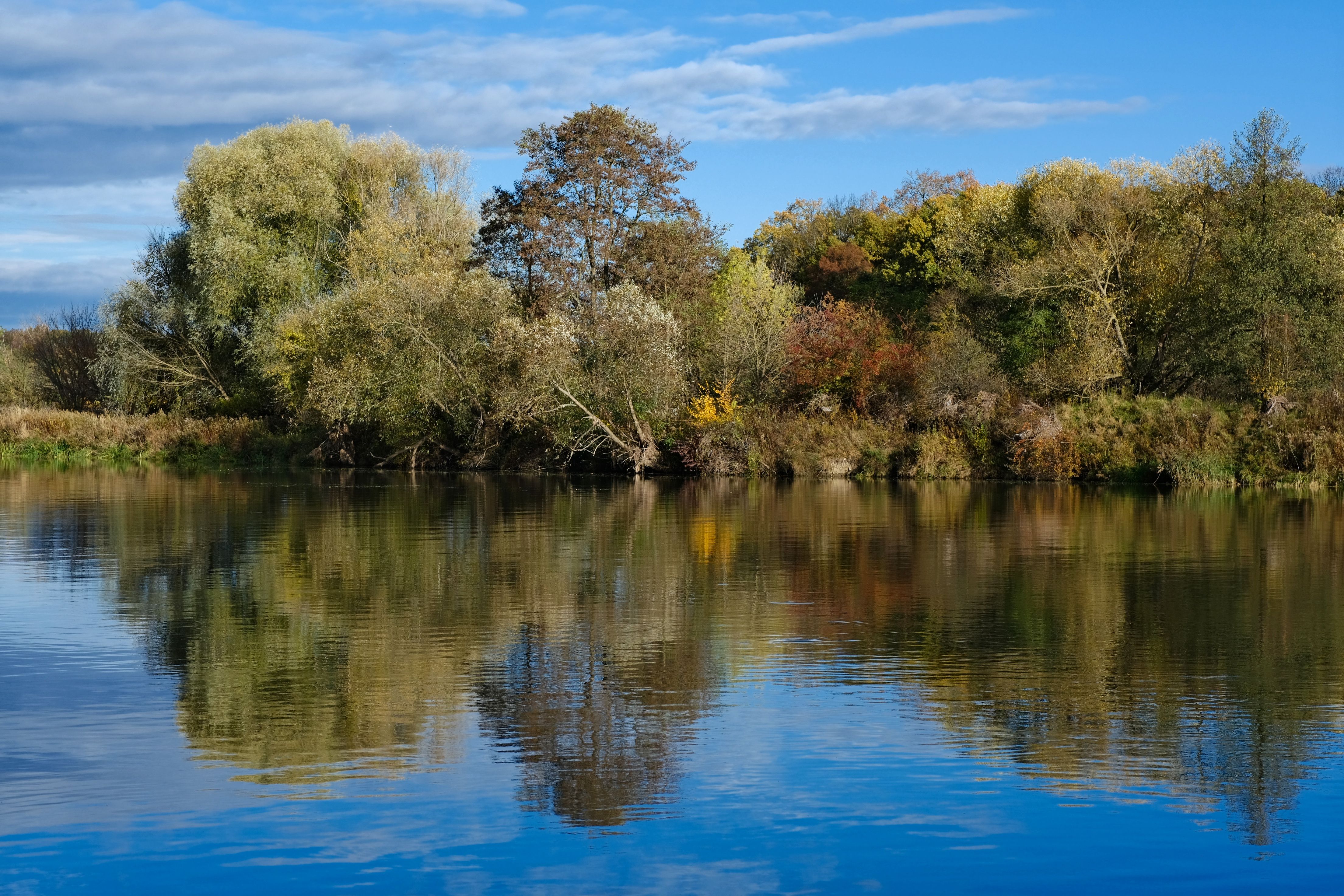 Serene Autumn Lake with Reflective Trees · Free Stock Photo