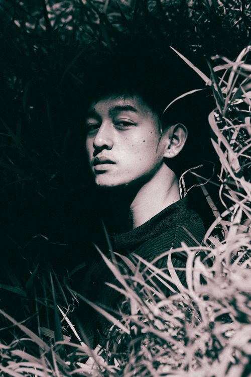 Free A man in shadows surrounded by tall grass, creating a moody and artistic ambiance. Stock Photo