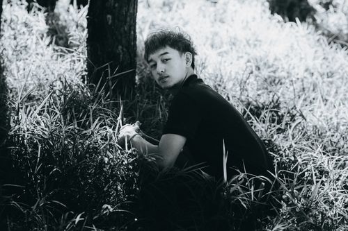Free A young man sits in a sunlit forest, surrounded by grass, in a thoughtful pose. Stock Photo