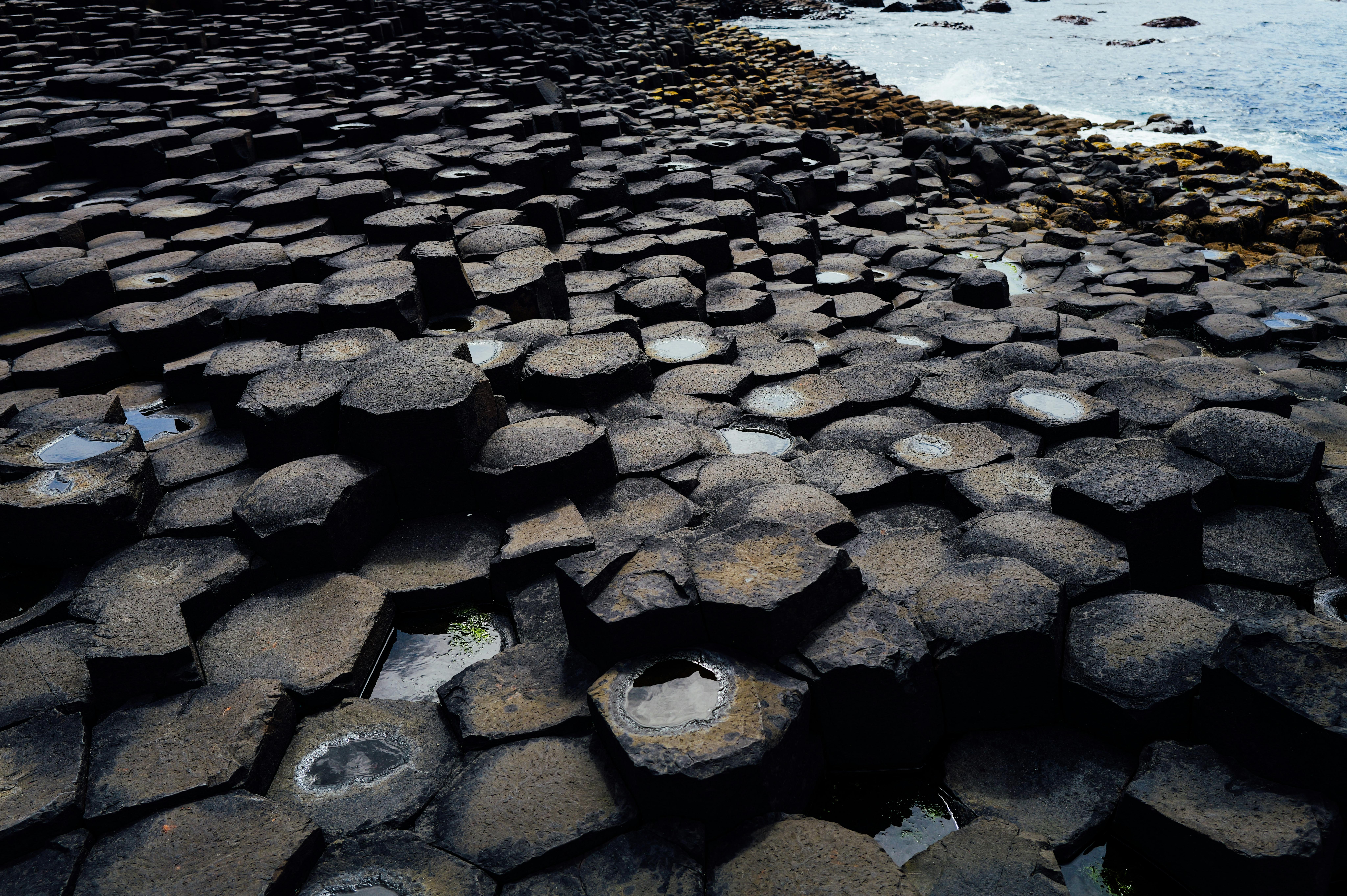 康乃爾國際實驗高中首次參加iGEM 斬獲金牌榮耀