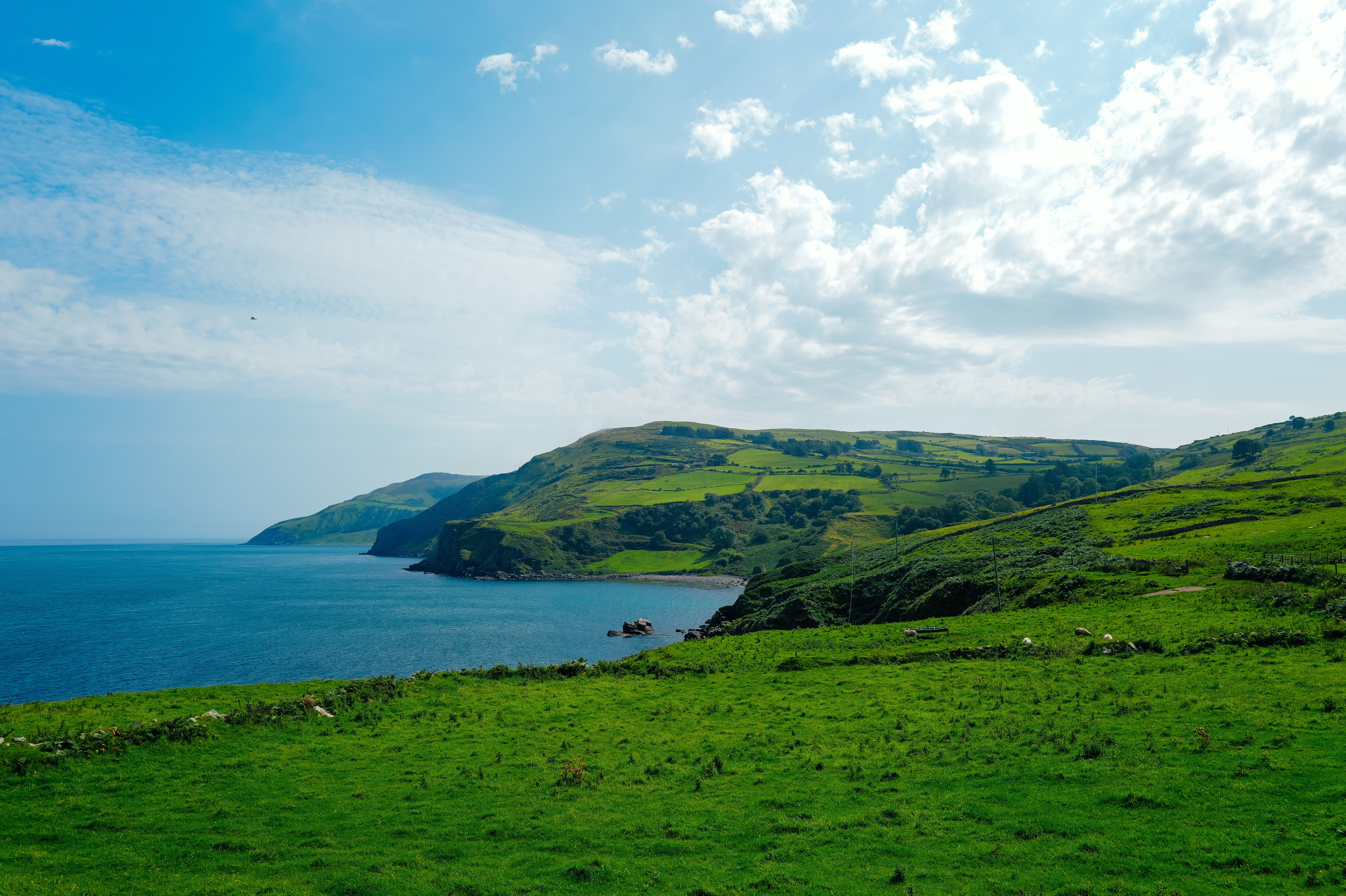 Scenic Coastal Landscape with Lush Green Fields · Free Stock Photo