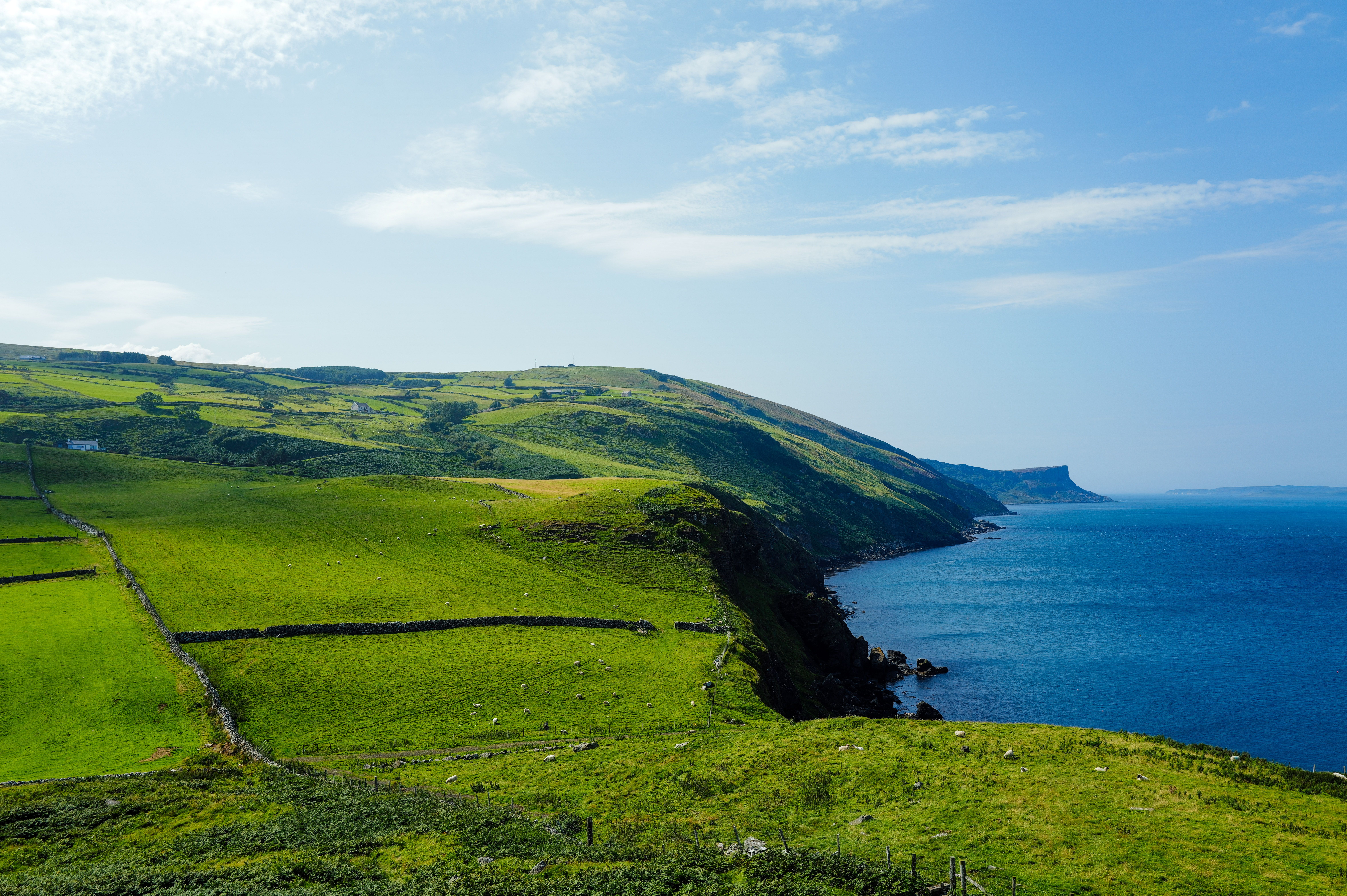 Stunning Coastal Landscape with Green Hills and Ocean · Free Stock Photo