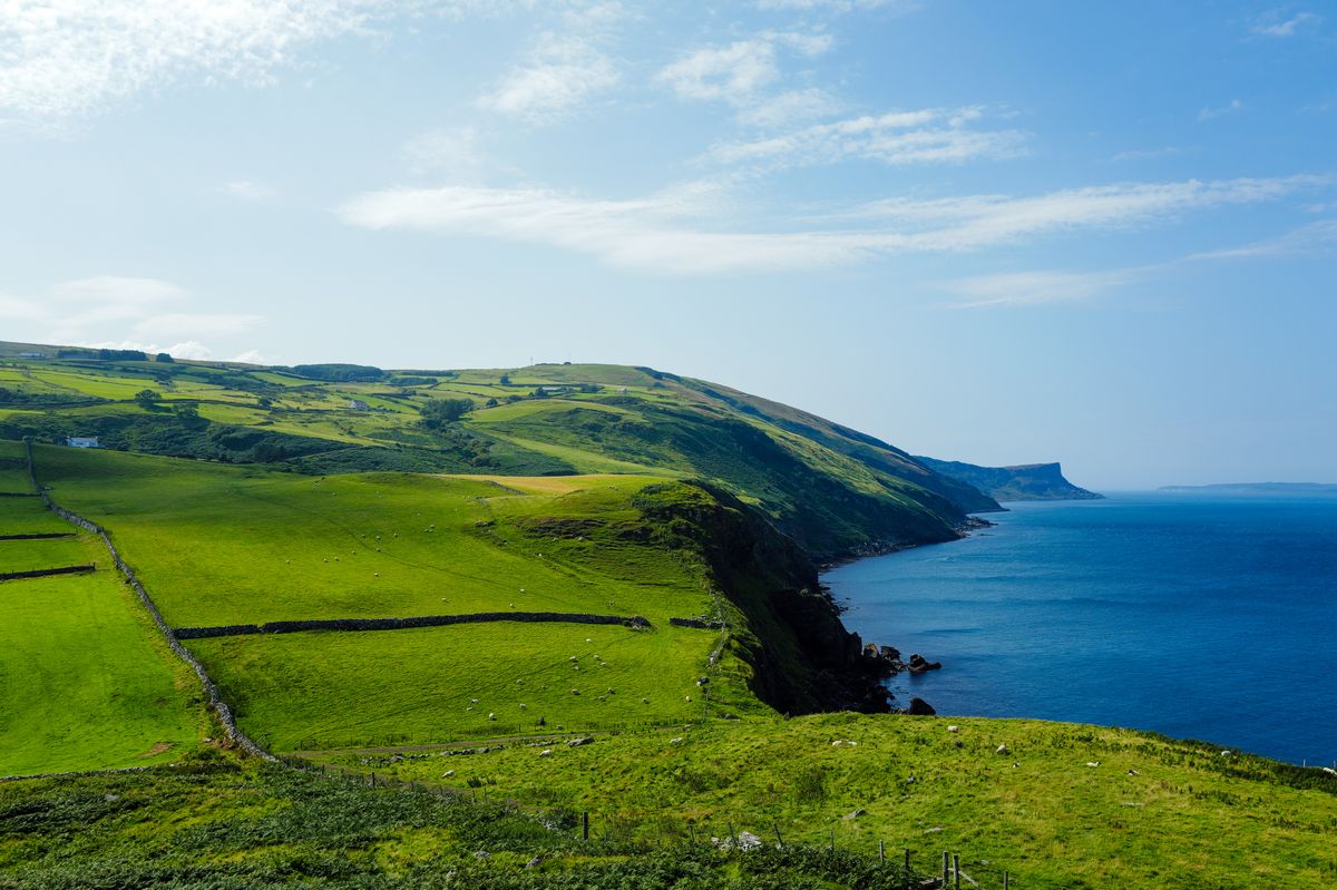 A green coastline meeting the sea under an open sky.