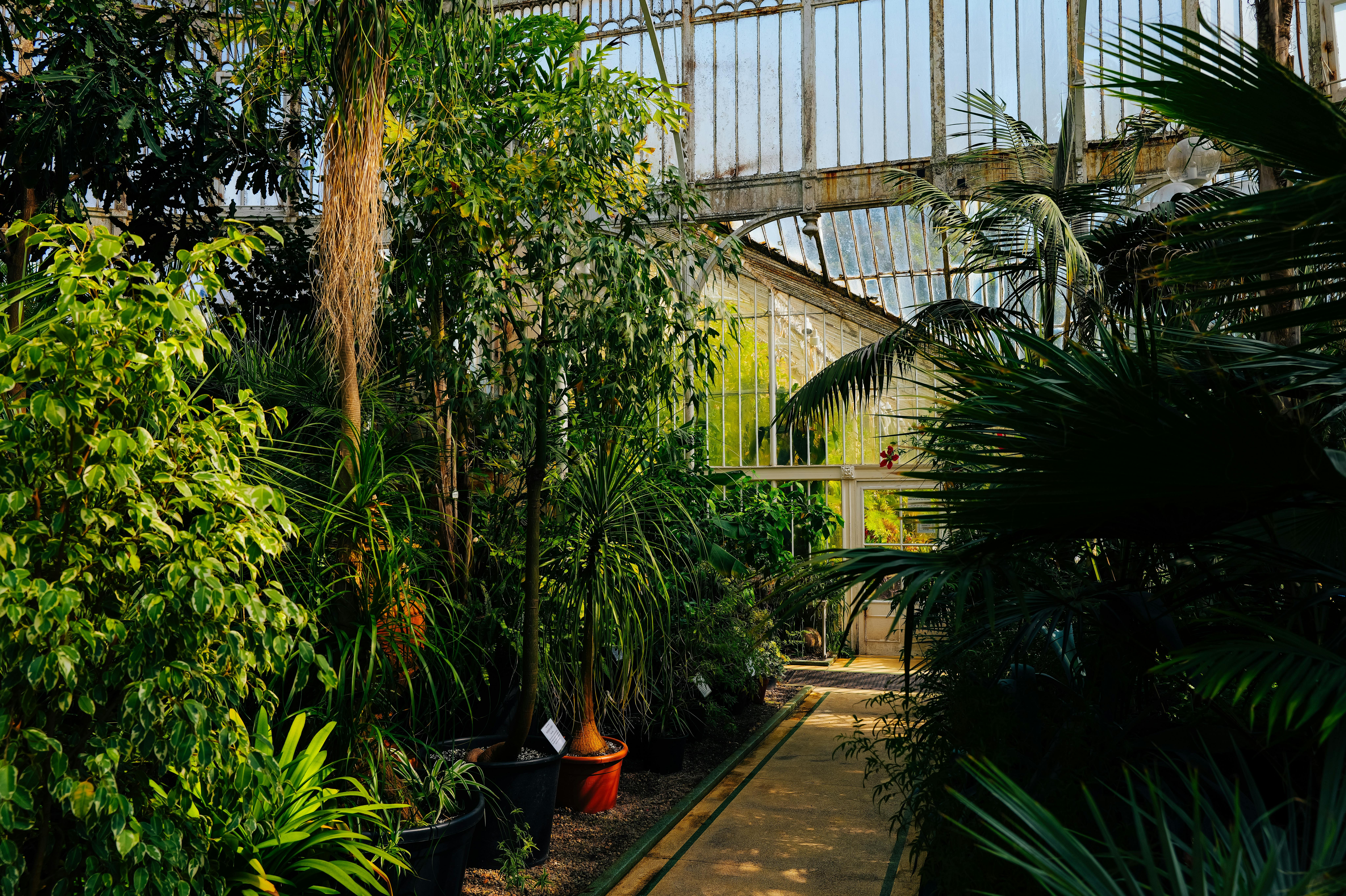 Emerging Trends in Sustainable Living: Understanding the Future of Eco-Friendly Lifestyle