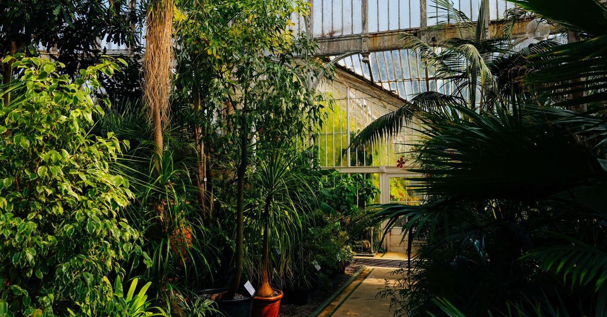 Novedades en jardinería sostenibles para 2026