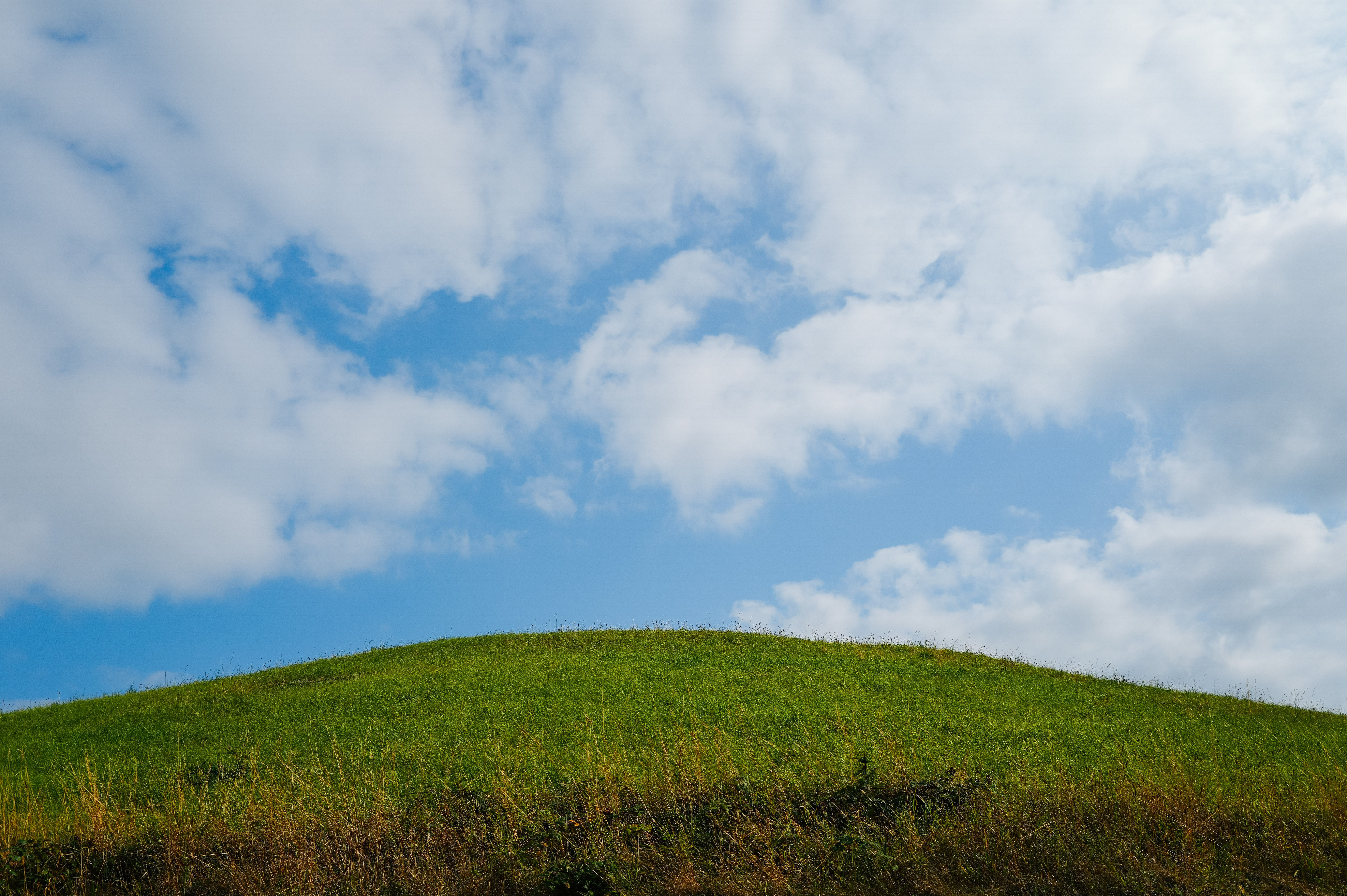 Lush Green Hill under a Clear Blue Sky · Free Stock Photo