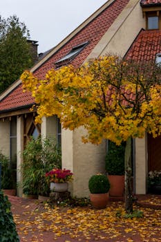 "A History of Window Technology: The Evolution of Materials, Designs, and Innovations"