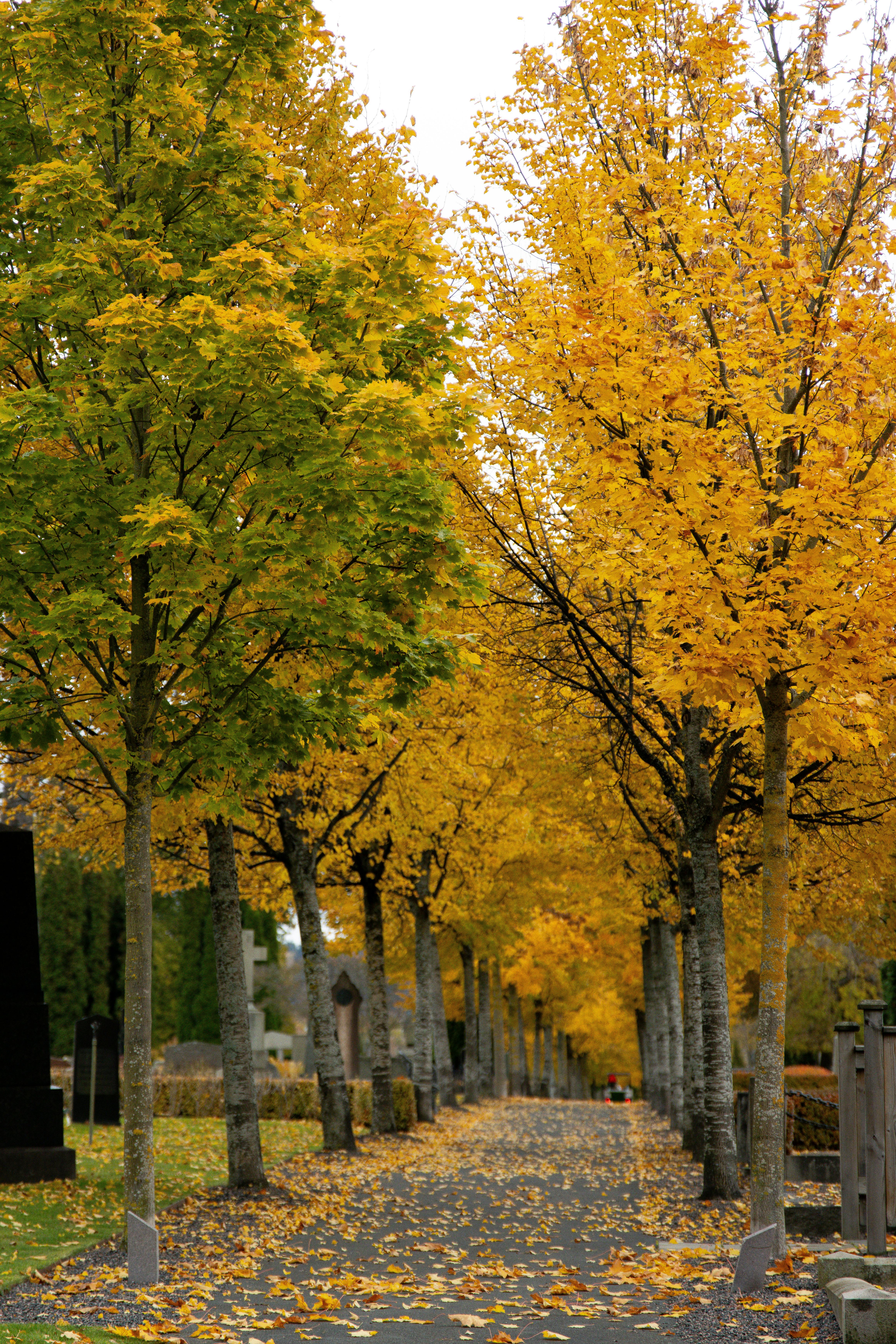 Outreach-Checkliste 2025: Entfalte Dein Potenzial Mit Effektiven Strategien 8 Warum Outreach 2025 mehr denn je auf Qualität statt Quantität setzt