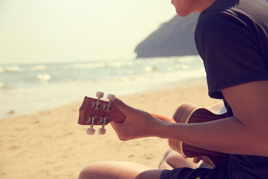 Silhouette of Man Holding Guitar on Plant Fields at ... - 525 x 350 jpeg 14kB