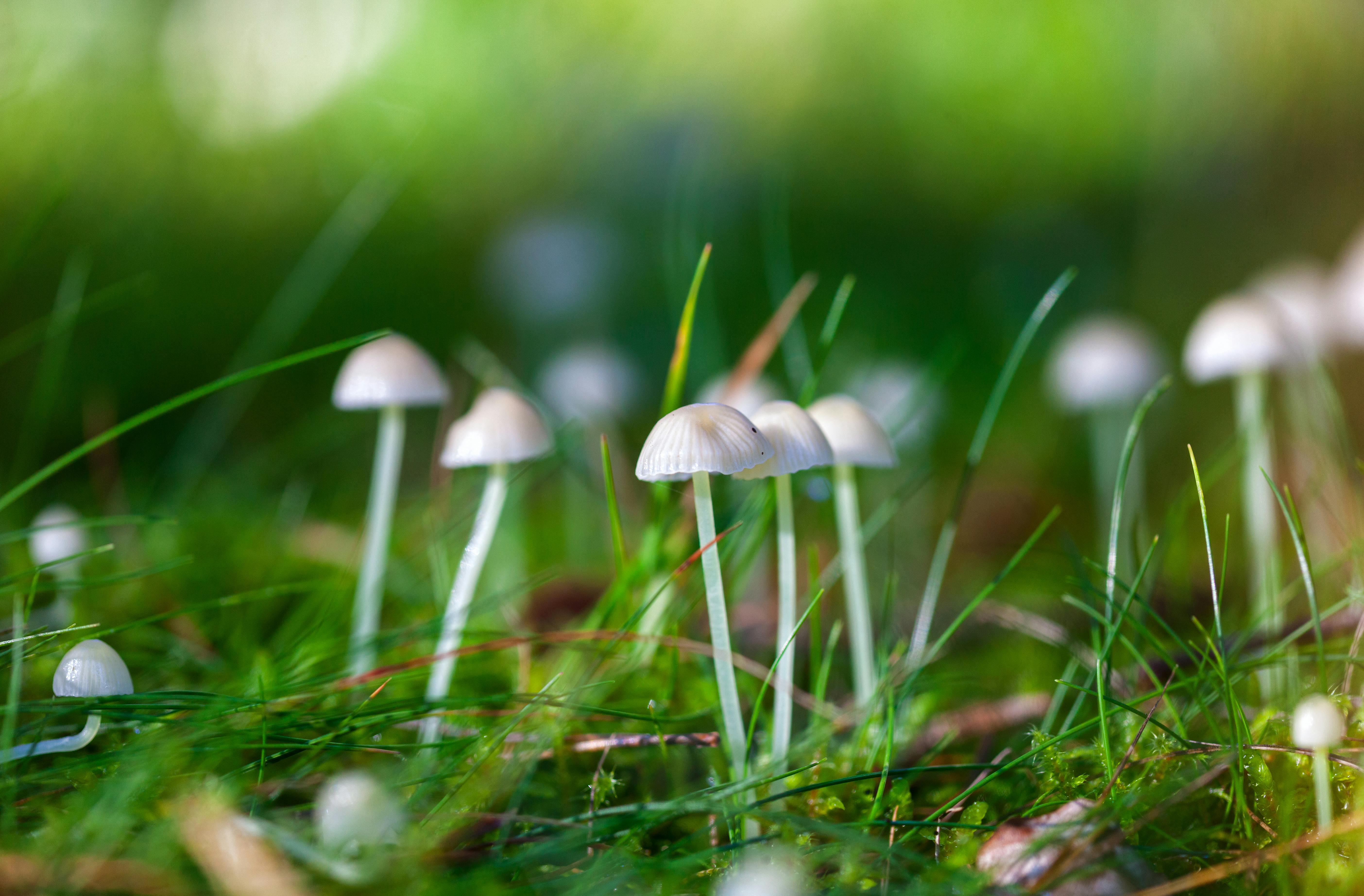 sum club-52 hôm sau đánh 14-57 yêu cầu đánh dũng mạnh tay PG88S.IO - Đánh giá chiến lược, rủi ro cùng tài lộc chiến tích