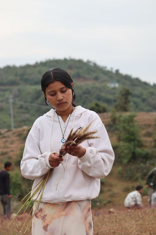 Free Young woman in white hoodie holding wild grasses in a rural landscape with hills in the background. Stock Photo