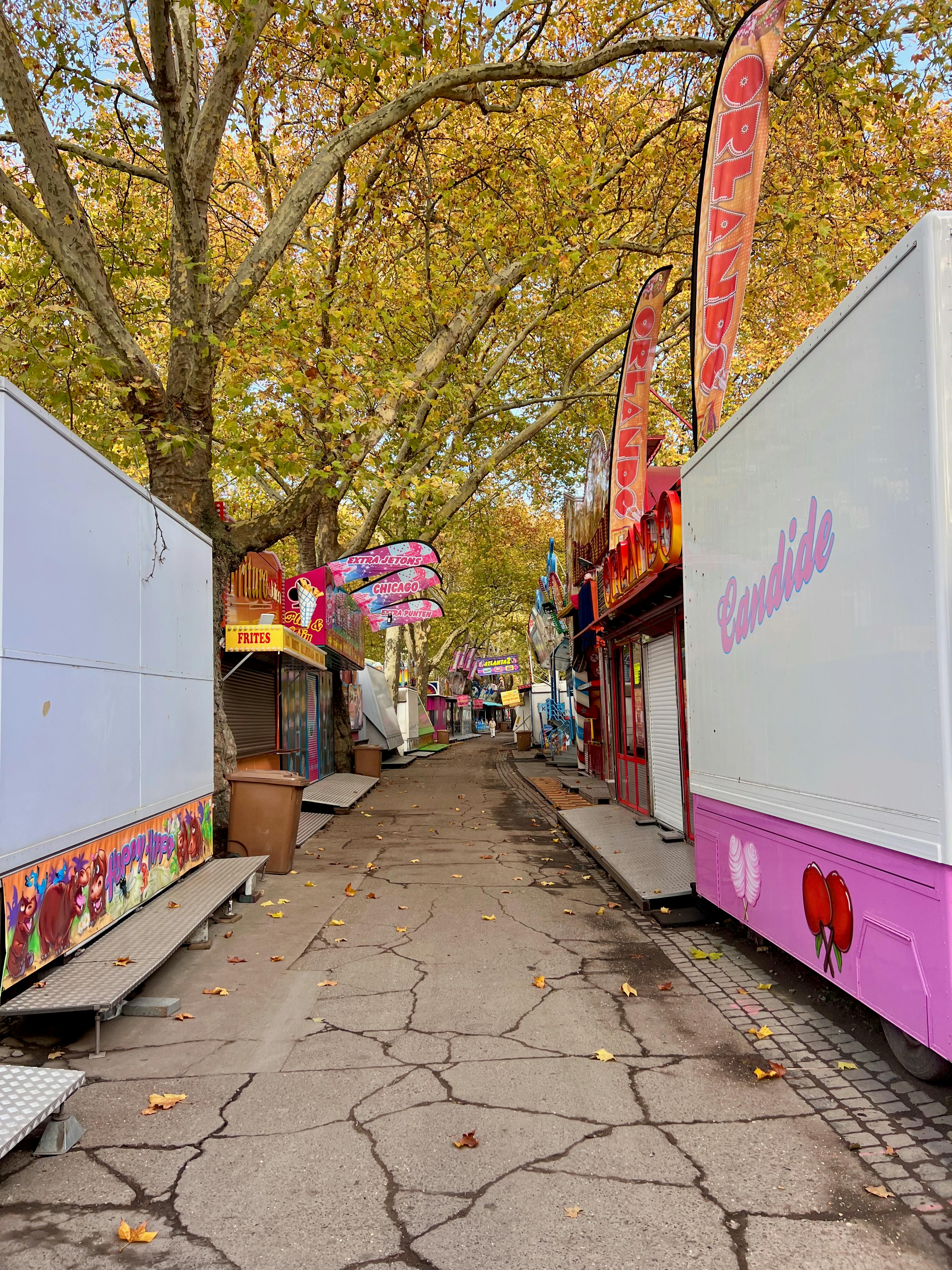 中秋加碼！大樂透百組100萬獎金來了🎉