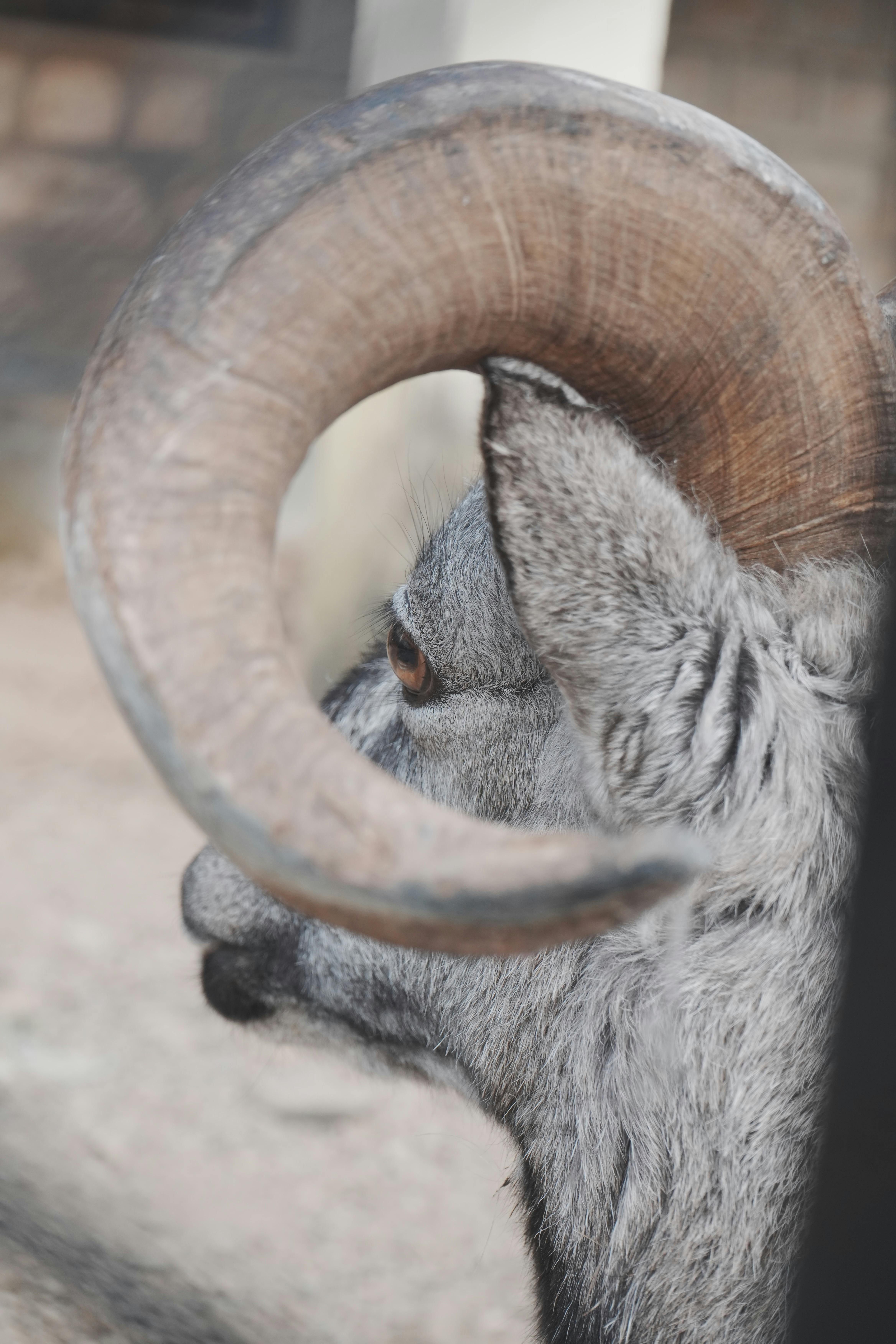 Erfolgreiche E-Mail-Outreach-Taktik: Wie Sie Ihre Zielgruppe Begeistern 8 Was Sie über E-Mail-Optimierung für Mobilgeräte wissen müssen, um erfolgreicher zu sein