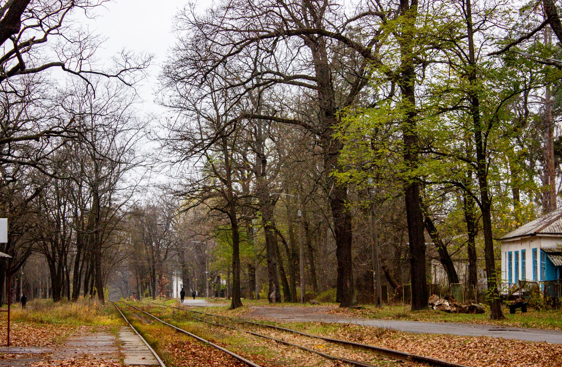 Un arbre sur les voies paralyse les TER vers Paris