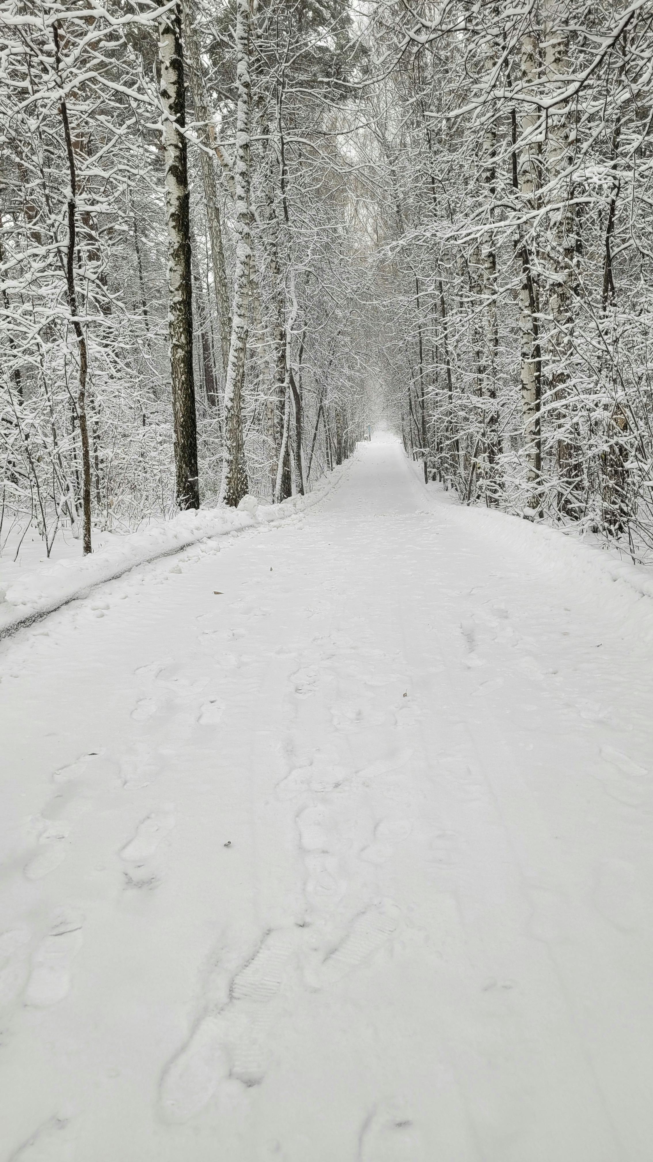 台灣彩券2月盈餘破47億！🎉