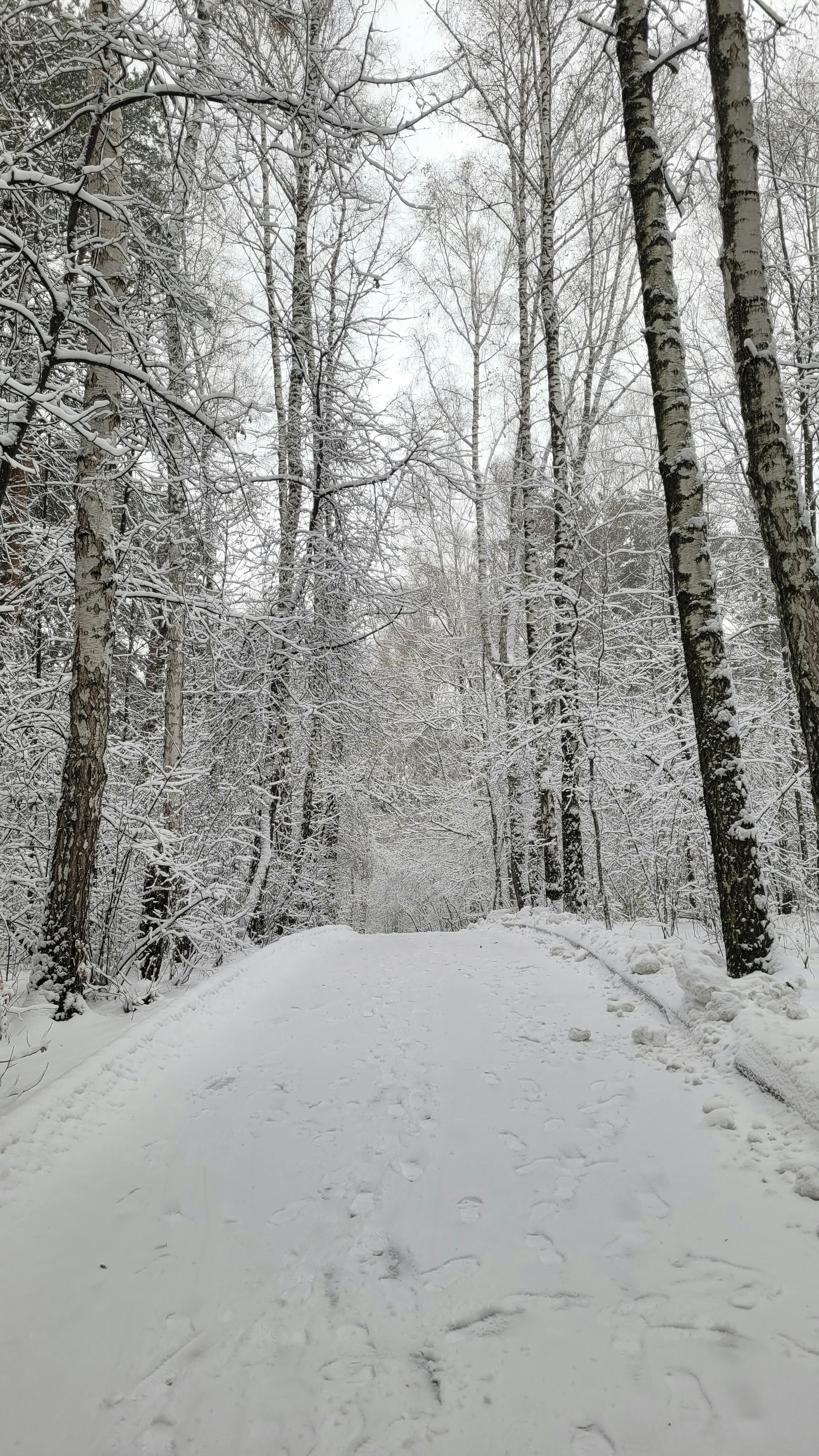 Bare+Nakeds Photos, Download The BEST Free Bare+Nakeds Stock Photos