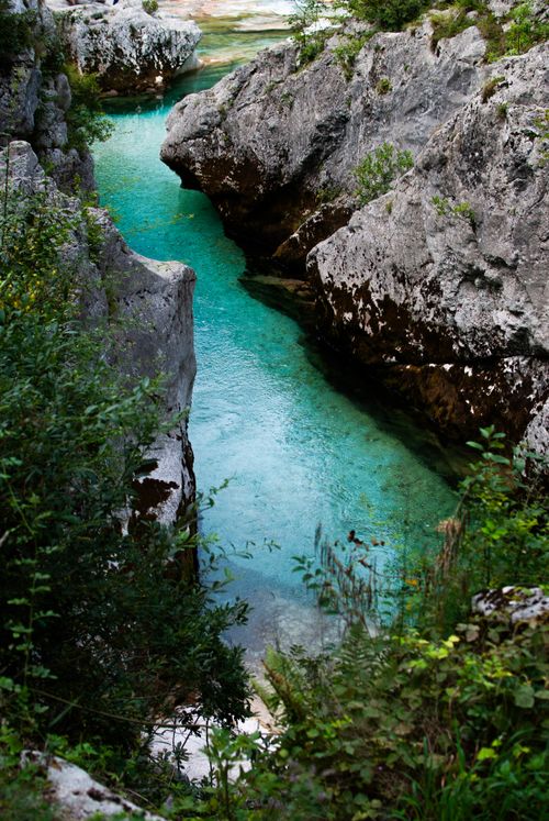 Free Crystal-clear turquoise river flowing through rocky gorge with lush greenery in Slovenia. Stock Photo