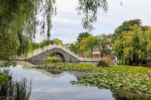 Free Stone bridge reflecting in a pond filled with water lilies, surrounded by lush greenery. Stock Photo