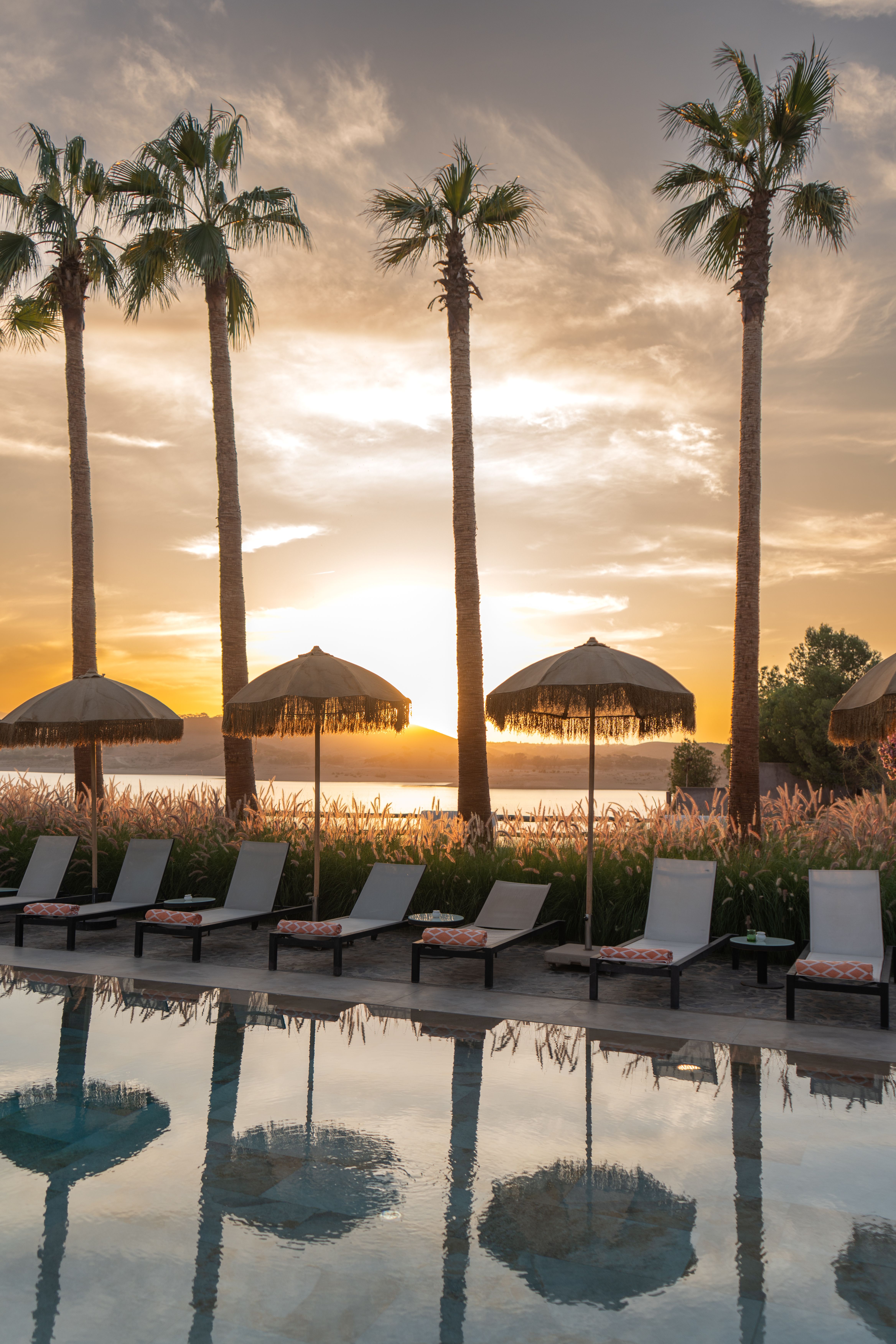 Relaxing sunset view with palm trees and poolside seating, perfect for vacationing.