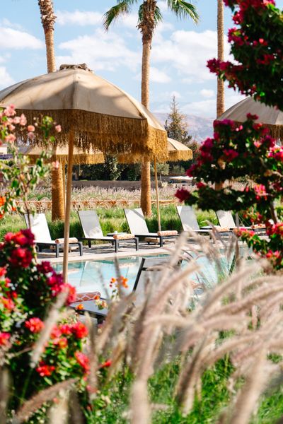 Sunlit poolside terrace with loungers and parasols, photo by Pure house On the lake on Pexels