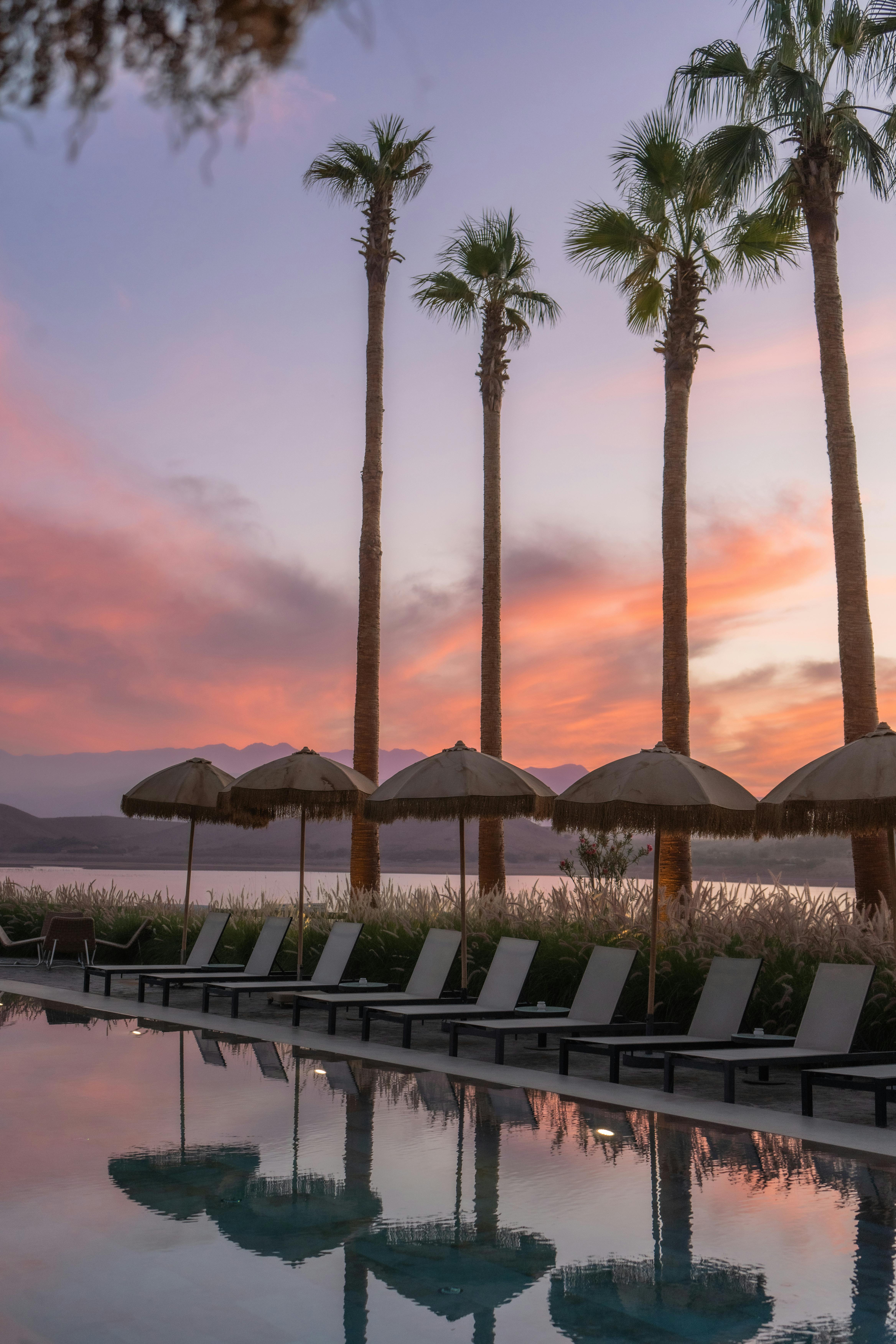 Serene poolside view with palm trees reflecting the vibrant sunset sky over a lake.