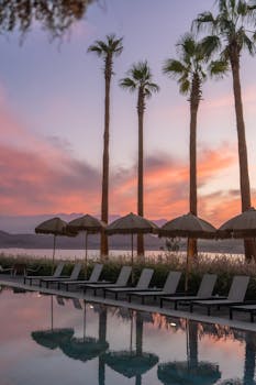 Serene poolside view with palm trees reflecting the vibrant sunset sky over a lake.