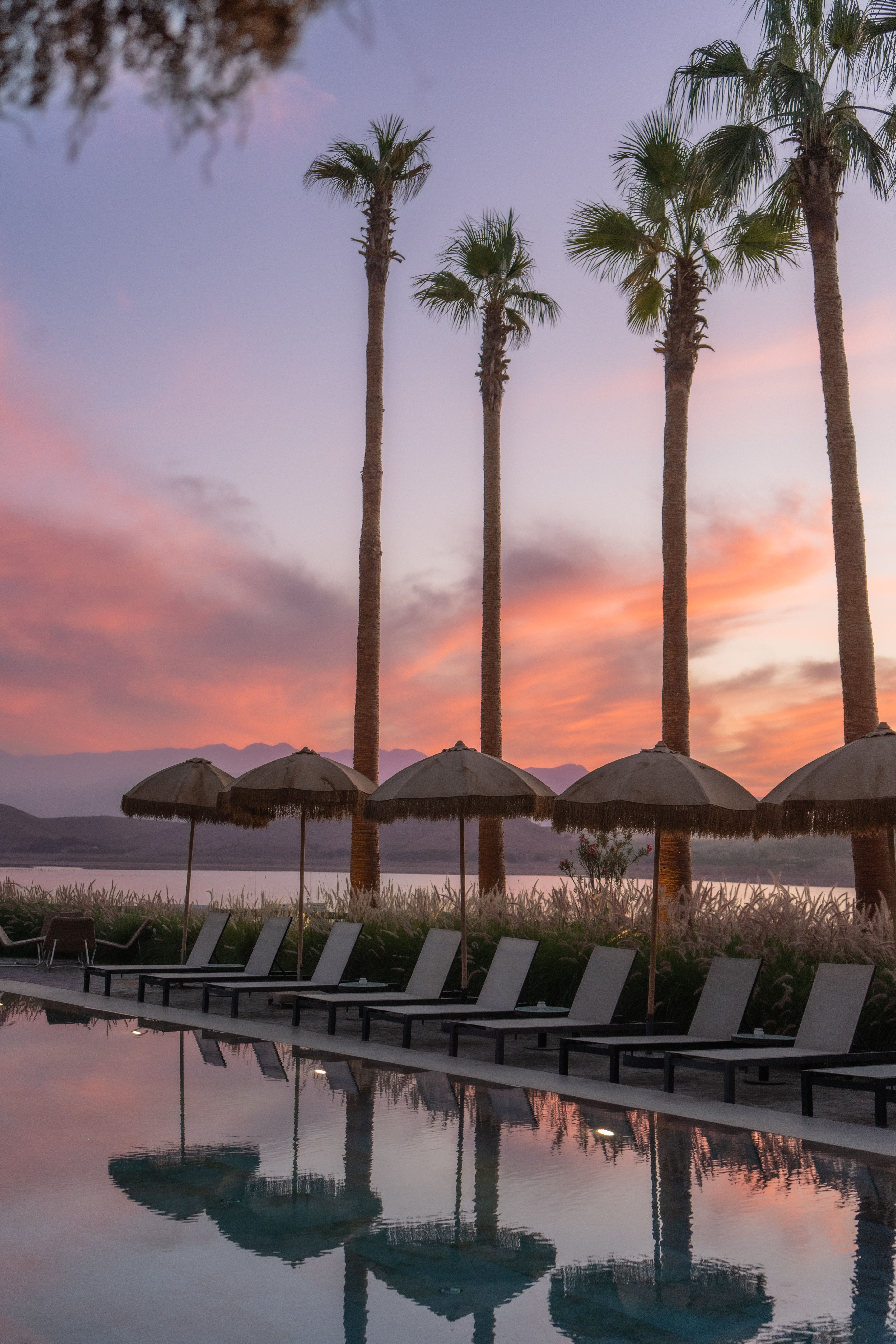 Scenic Sunset by Tropical Pool with Palm Trees · Free Stock Photo