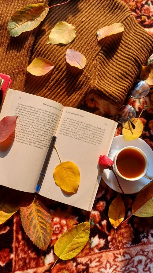 Free Warm autumn scene featuring a book, tea, glasses, and colorful leaves on a sweater. Stock Photo