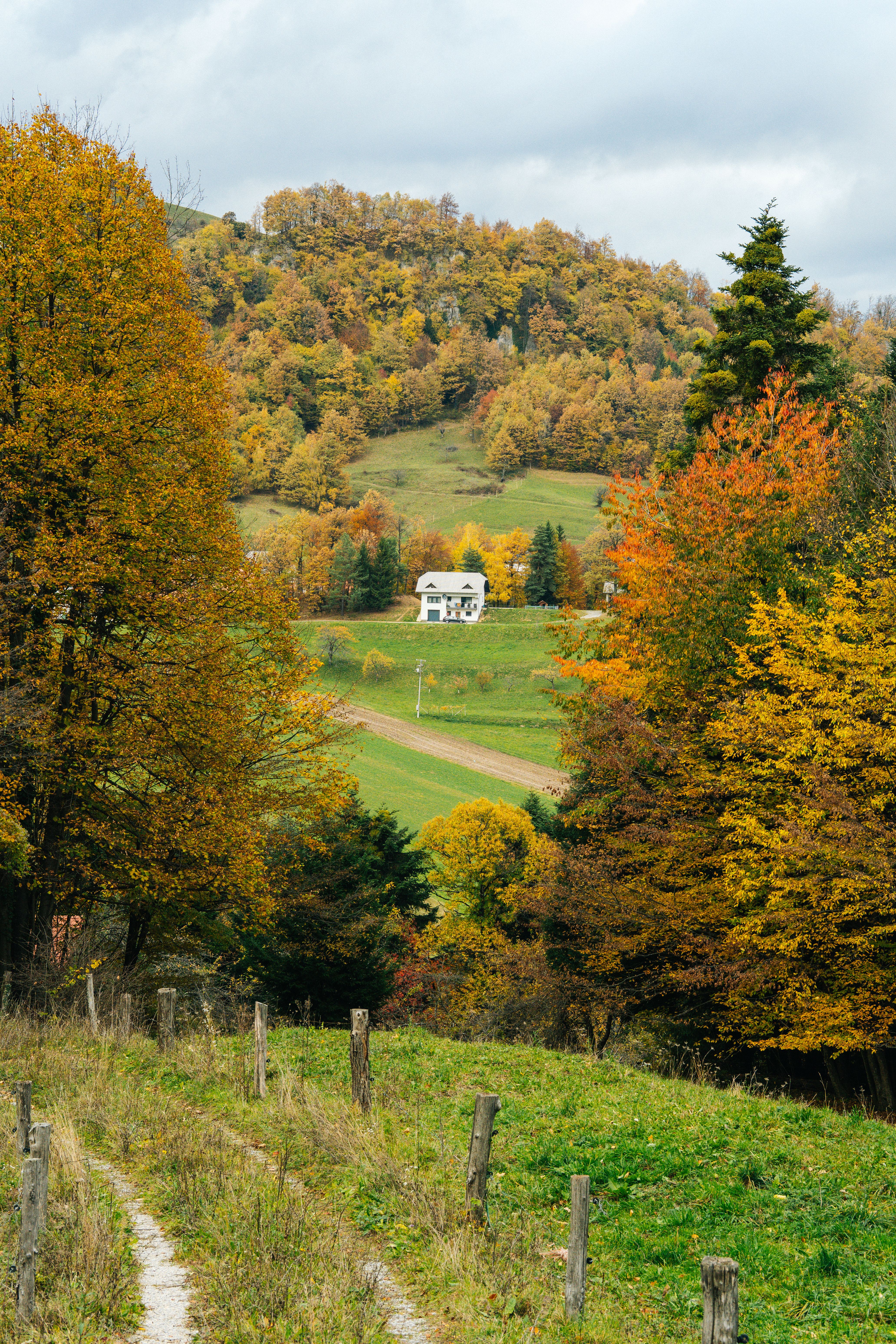 Charming Countryside Cottage Amidst Autumn Hills · Free Stock Photo