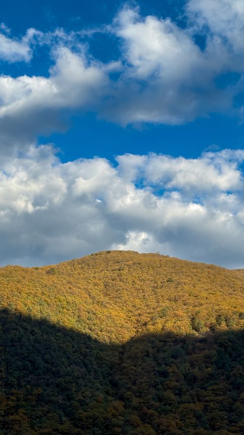Free Autumn mountain landscape with vibrant foliage under a dramatic cloudy sky. Stock Photo