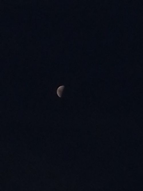 Free stock photo of bright moon, moon, nature Stock Photo