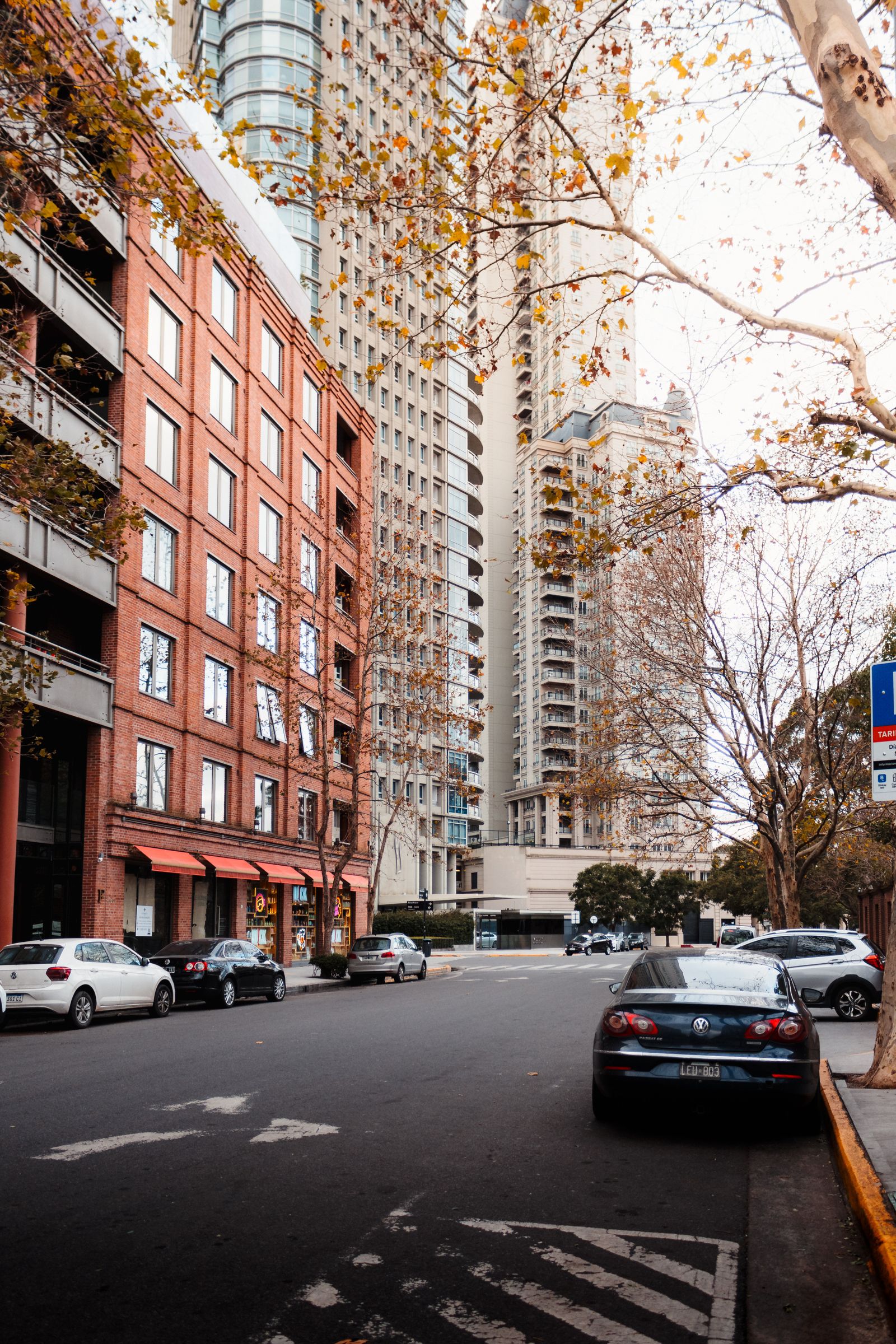 A tree-lined Buenos Aires street framed by apartment buildings