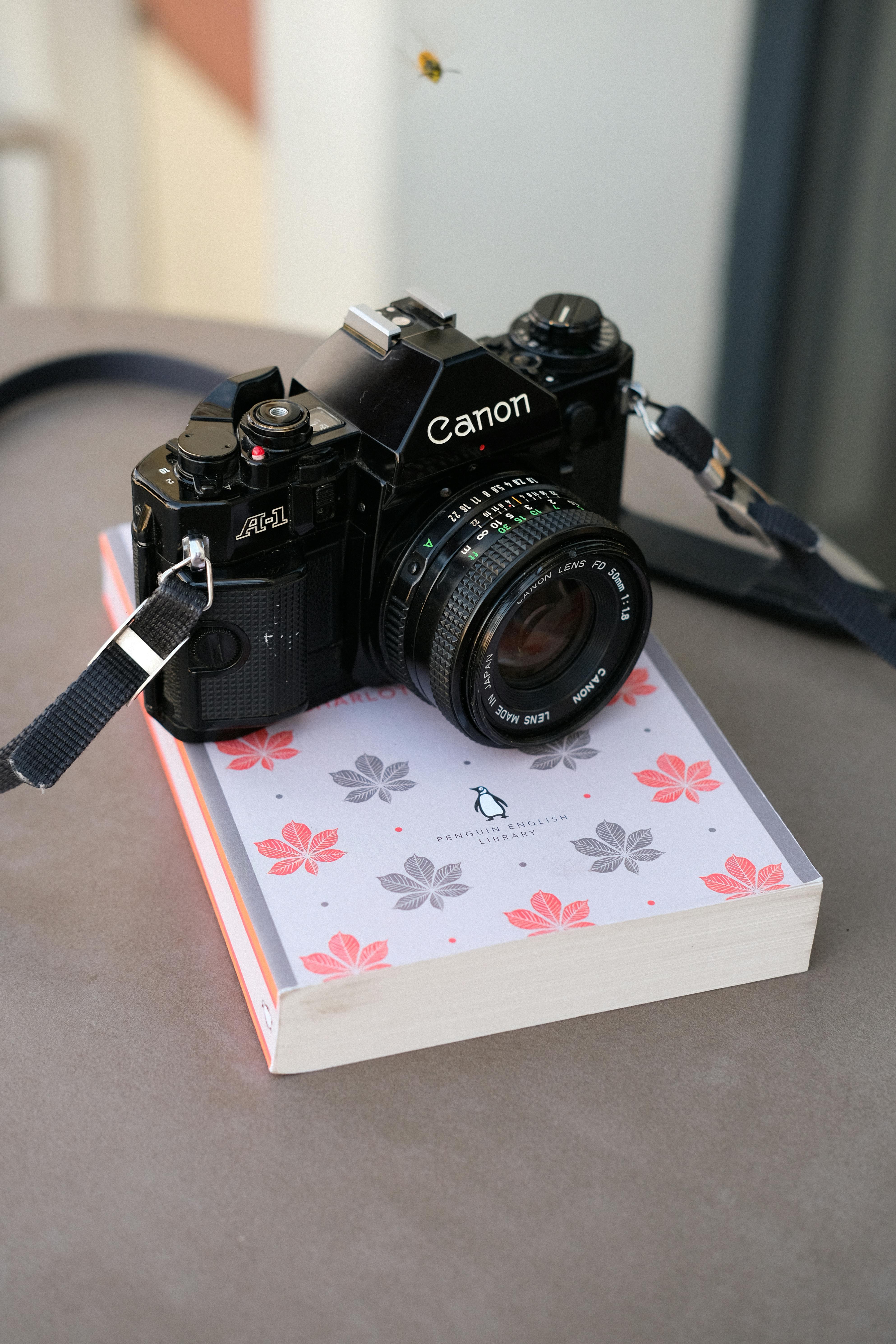 Yargısal Tacizi Ortaya Çıkarma