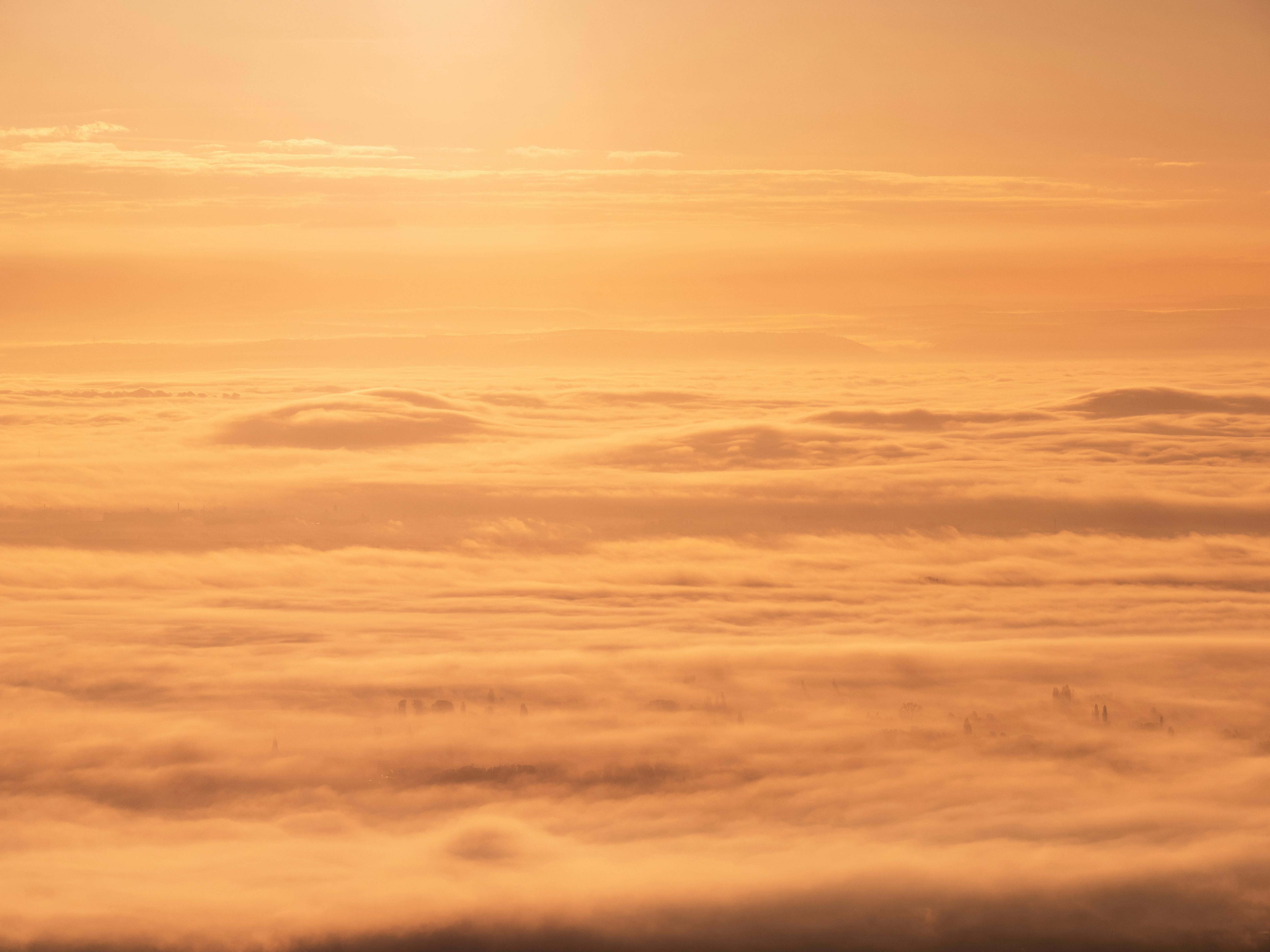 德国莱茵兰-普法尔茨迈卡默雾覆盖的风景上，金色的日出宁静而美丽