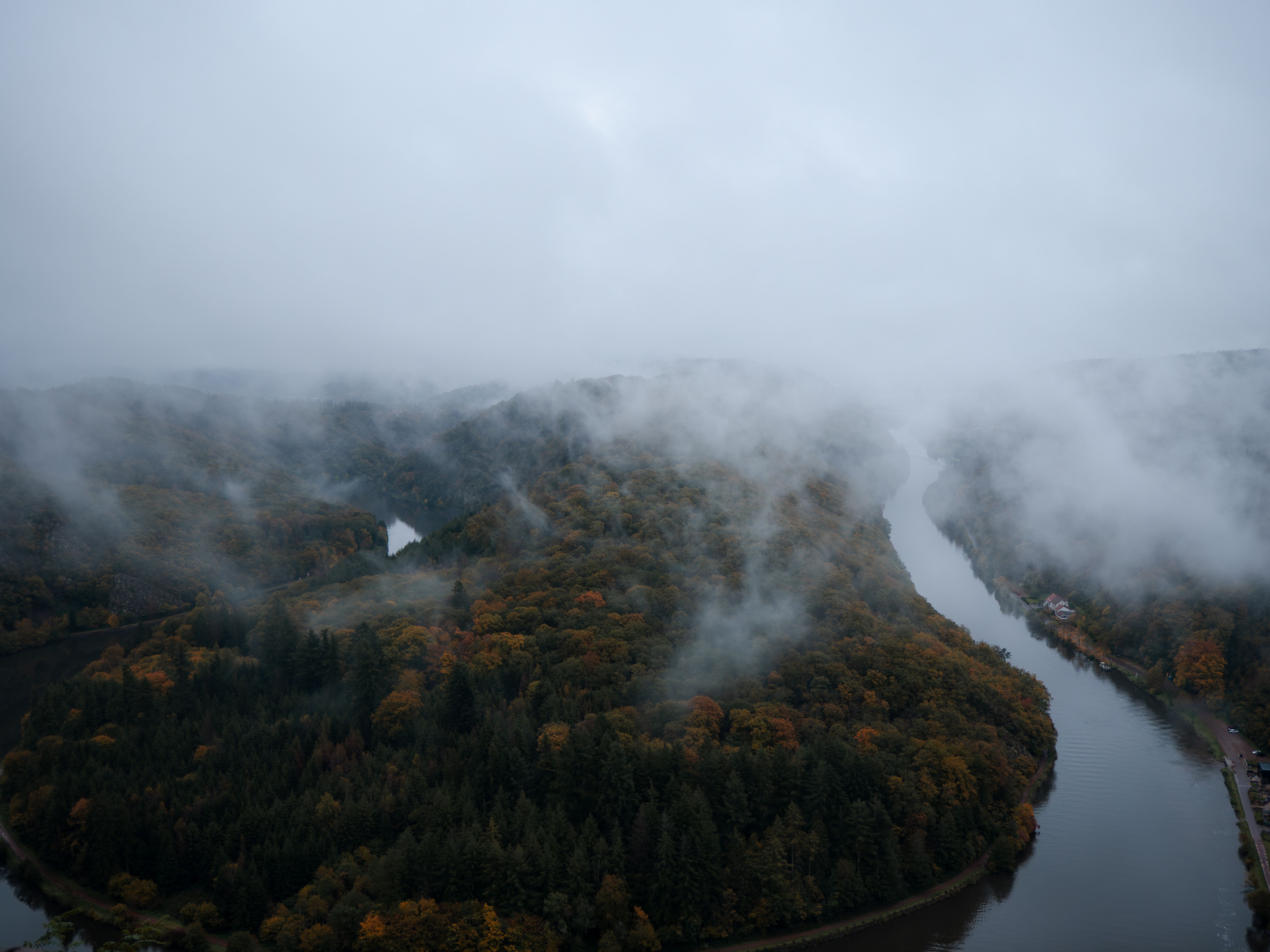 Aerial View of Misty Autumn Forest and River Bend · Free Stock Photo