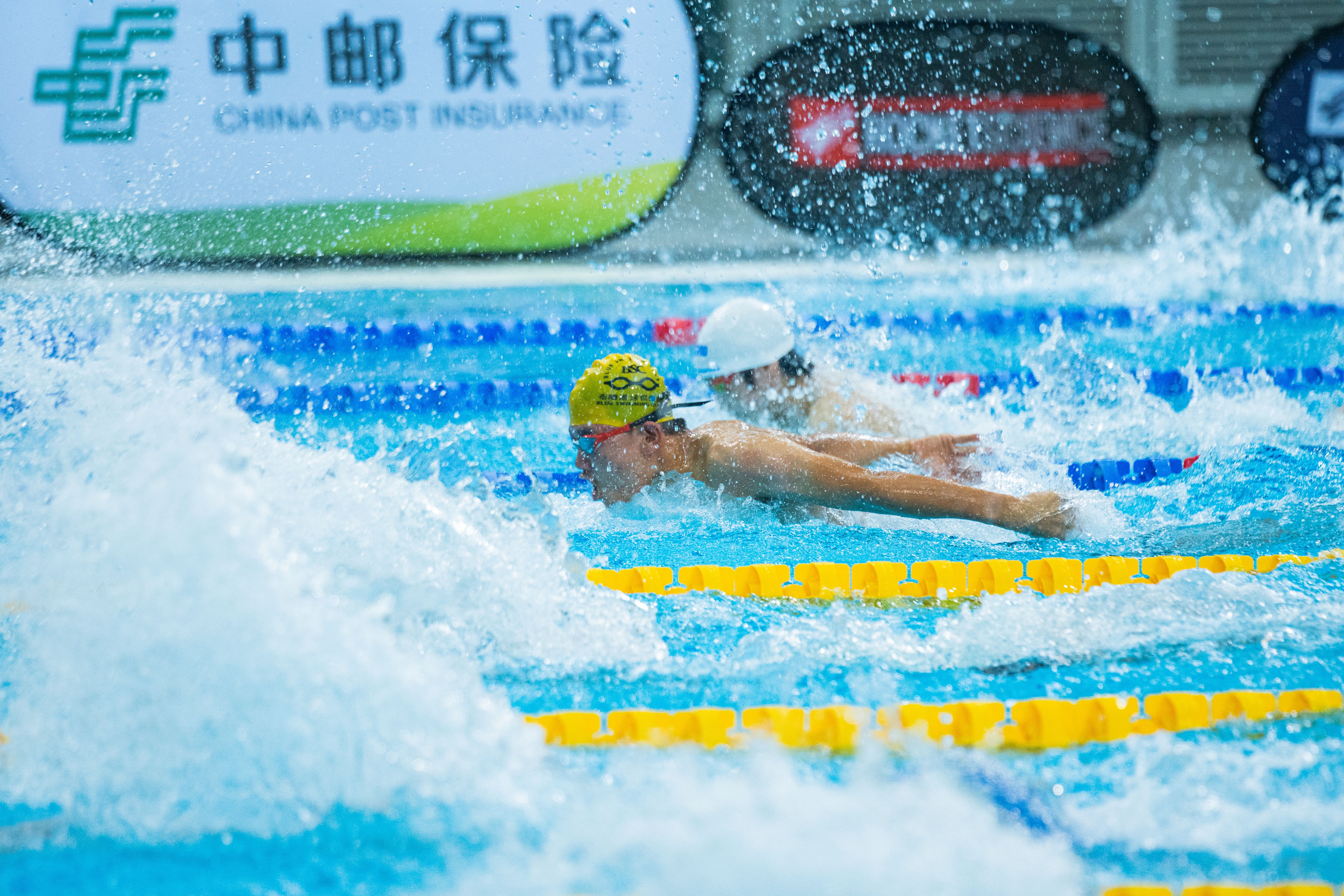 Competitive Swimmers Racing in a Pool · Free Stock Photo