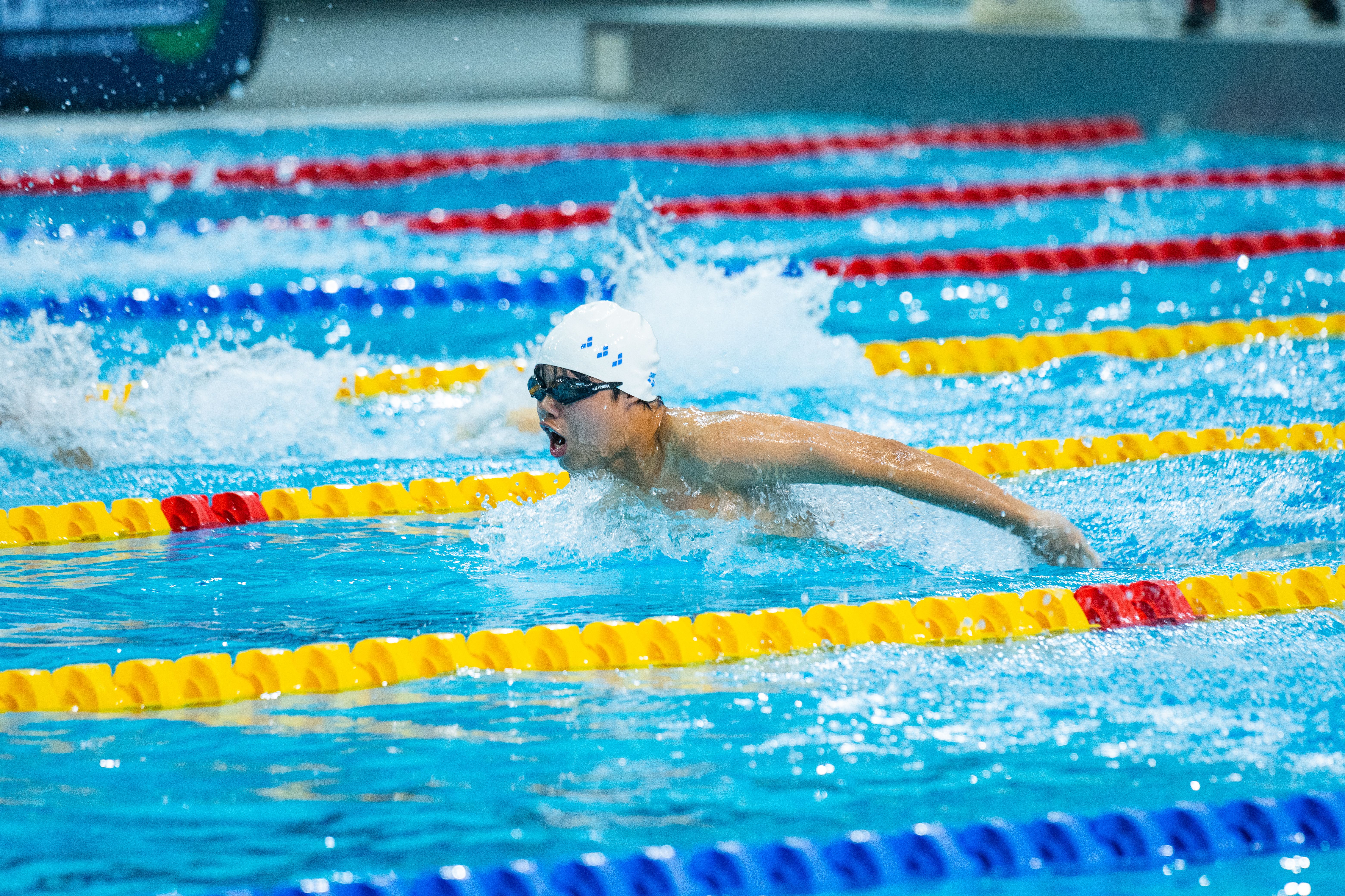 Competitive Swimmer in Action at Pool · Free Stock Photo