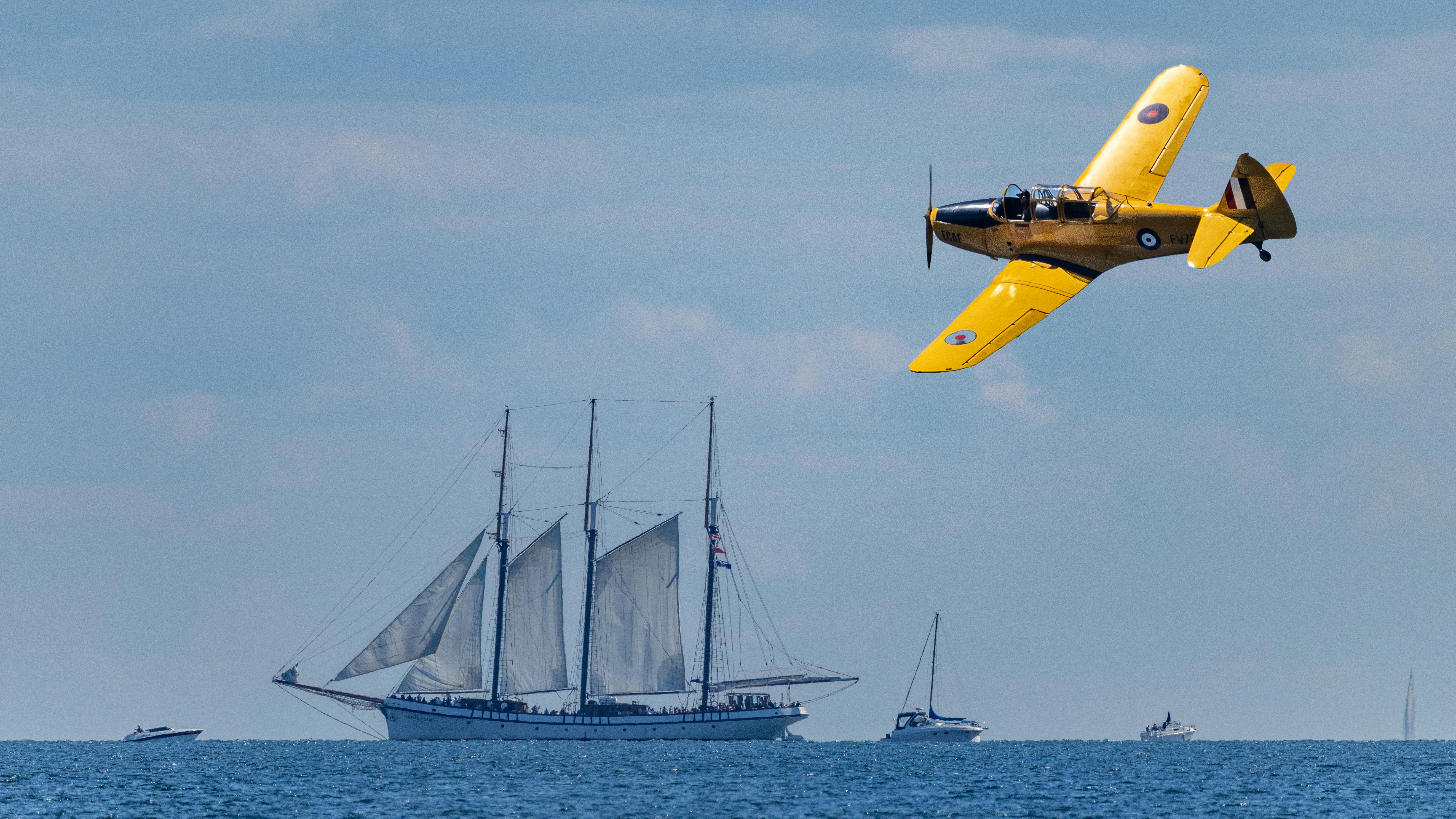 財經：航海王最新動態解析！是否即將回神？完整報告一次看