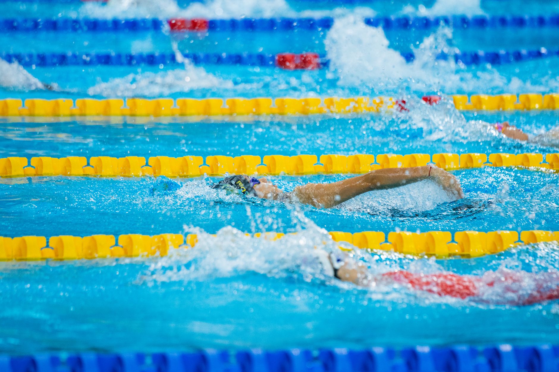 Swimmers competing in a dynamic race, showcasing movement and sportsmanship.
