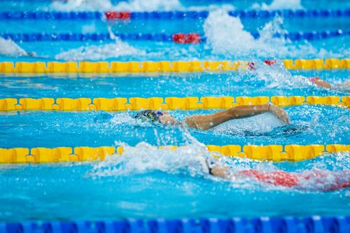 Free Swimmers competing in a dynamic race, showcasing movement and sportsmanship. Stock Photo