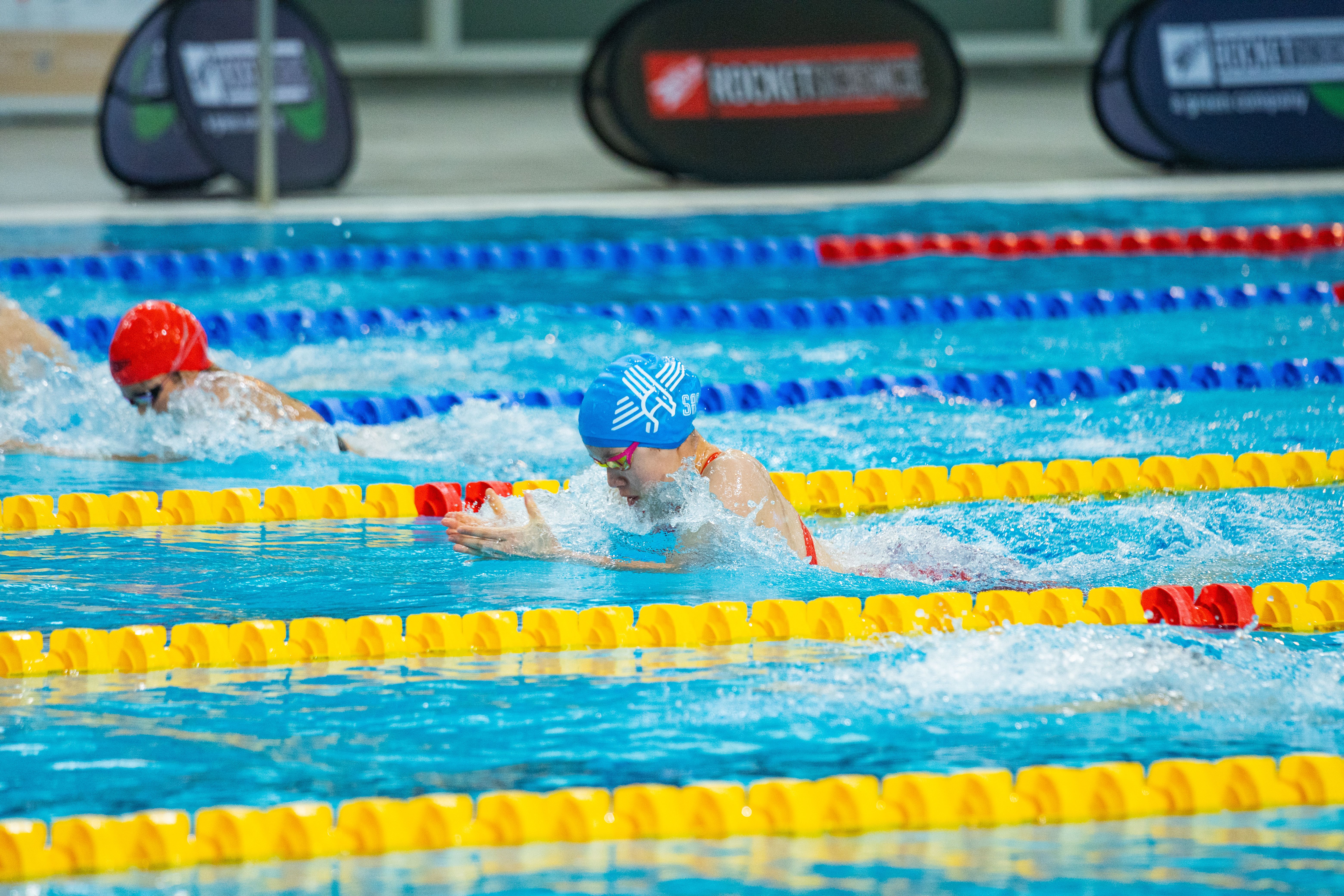 Competitive Swimmers Racing in Indoor Pool · Free Stock Photo