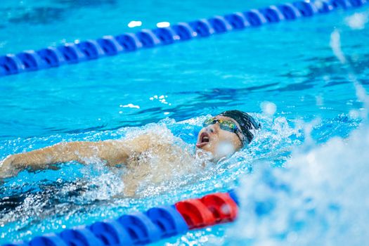 A competitive swimmer in action during a pool race, showcasing athletic prowess.