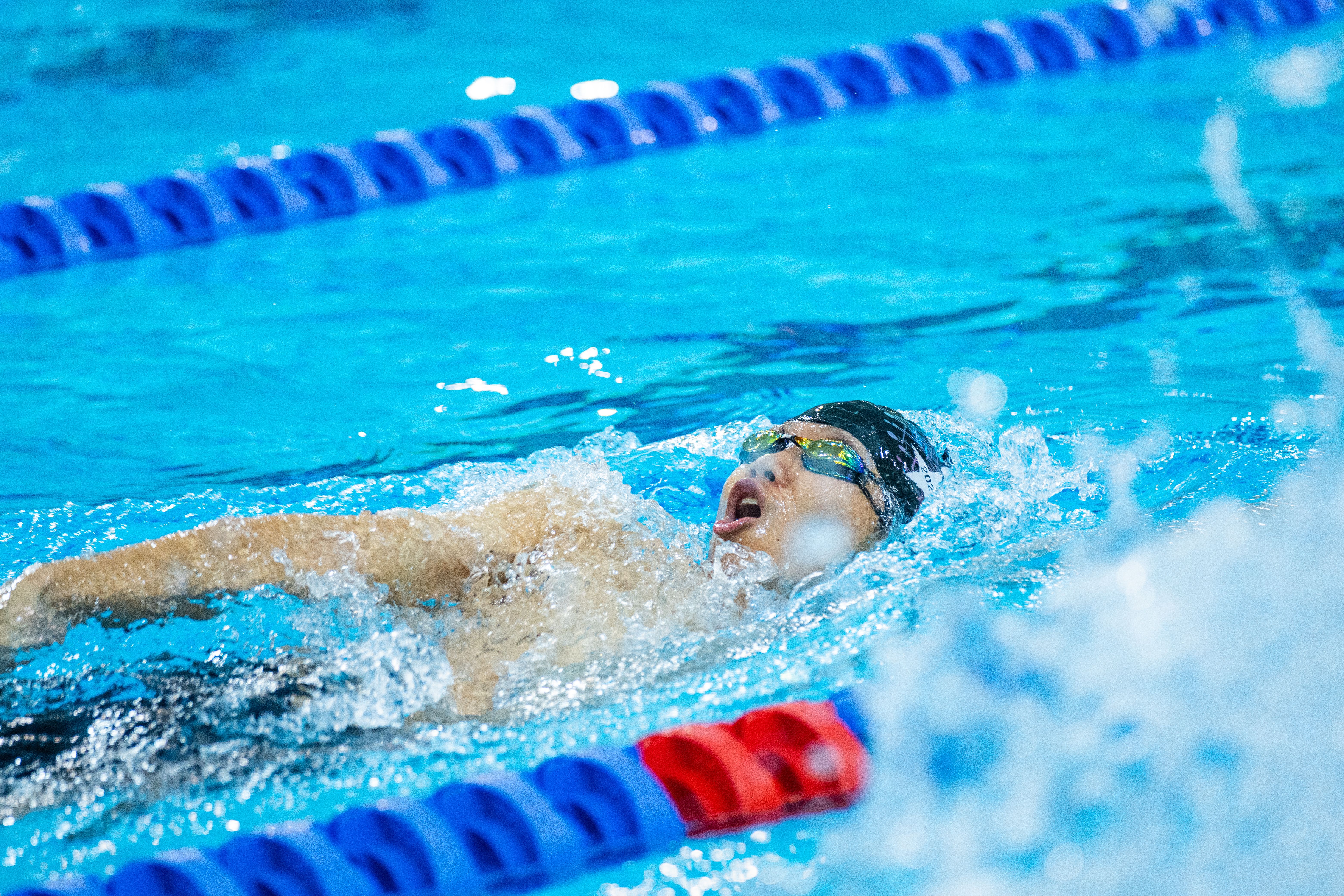 Professional Swimmer Competing in Pool Race · Free Stock Photo
