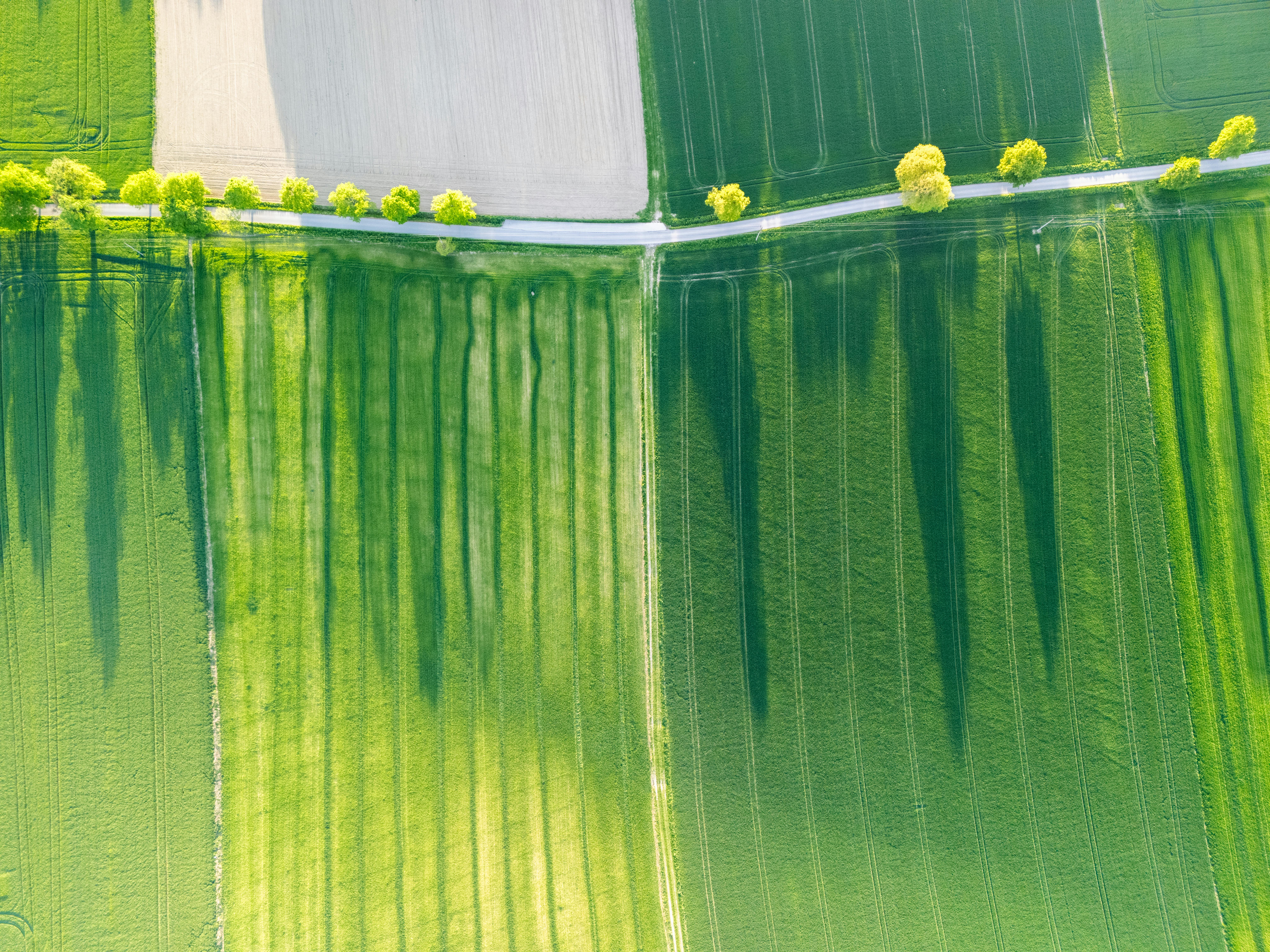corporate governance esg governance part of esg — Photo by Dawid Zawiła on Pexels