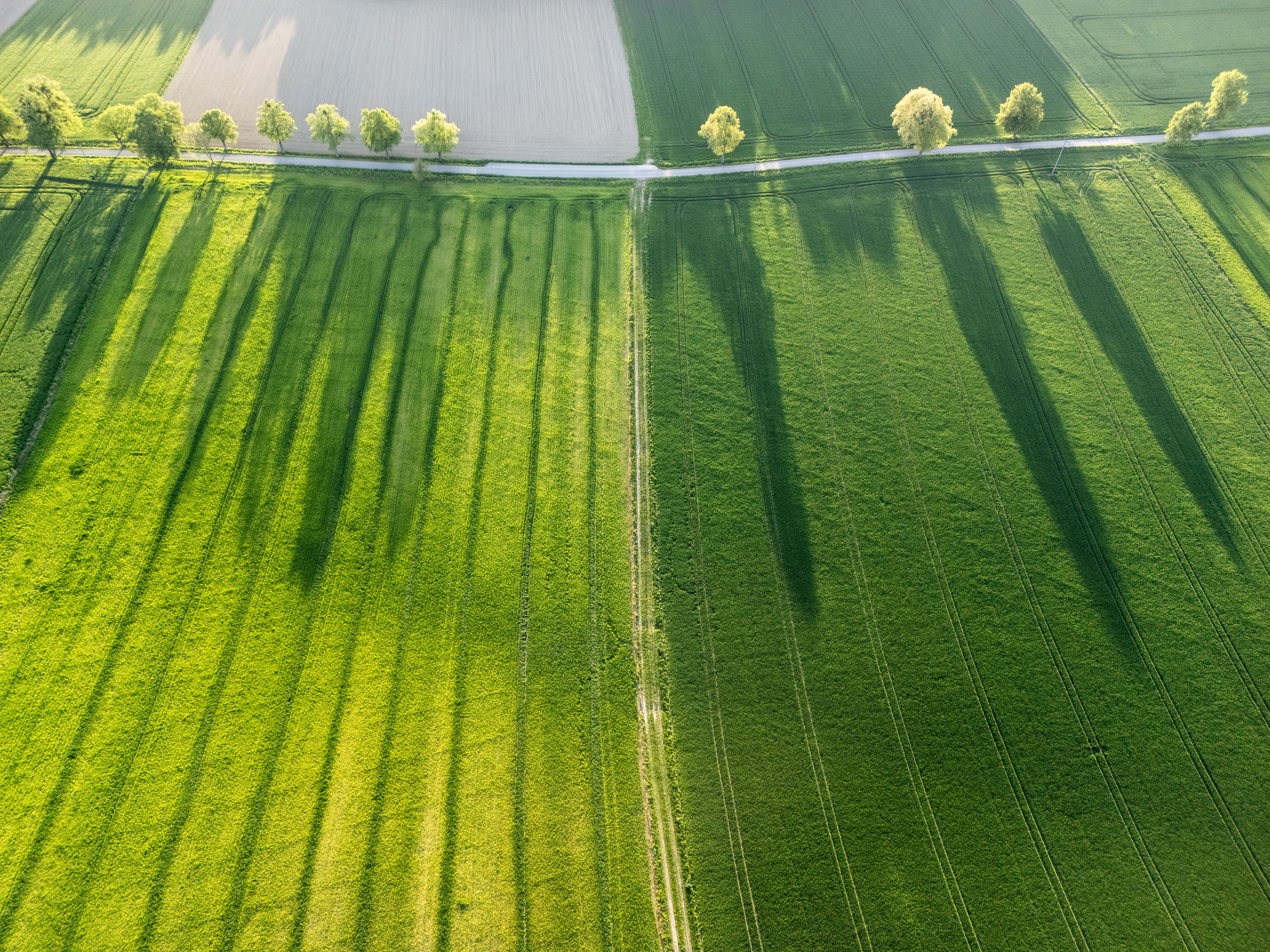 Aerial View of Lush Green Agricultural Fields · Free Stock Photo